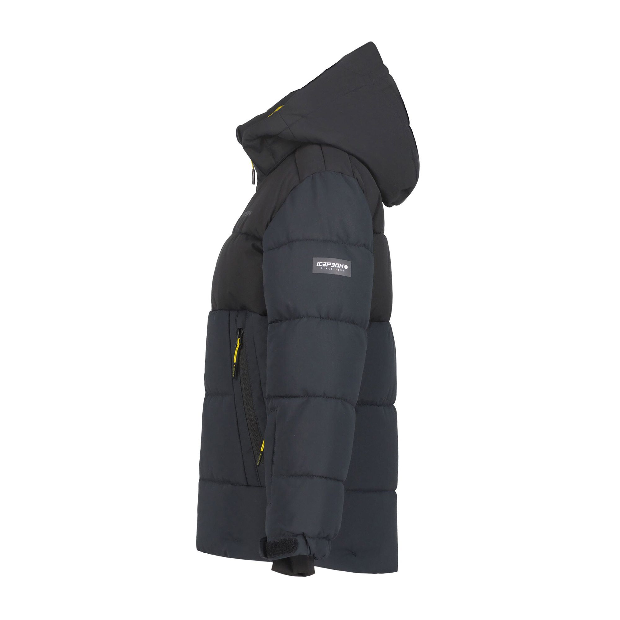 Icepeak Louin Skijas Junior