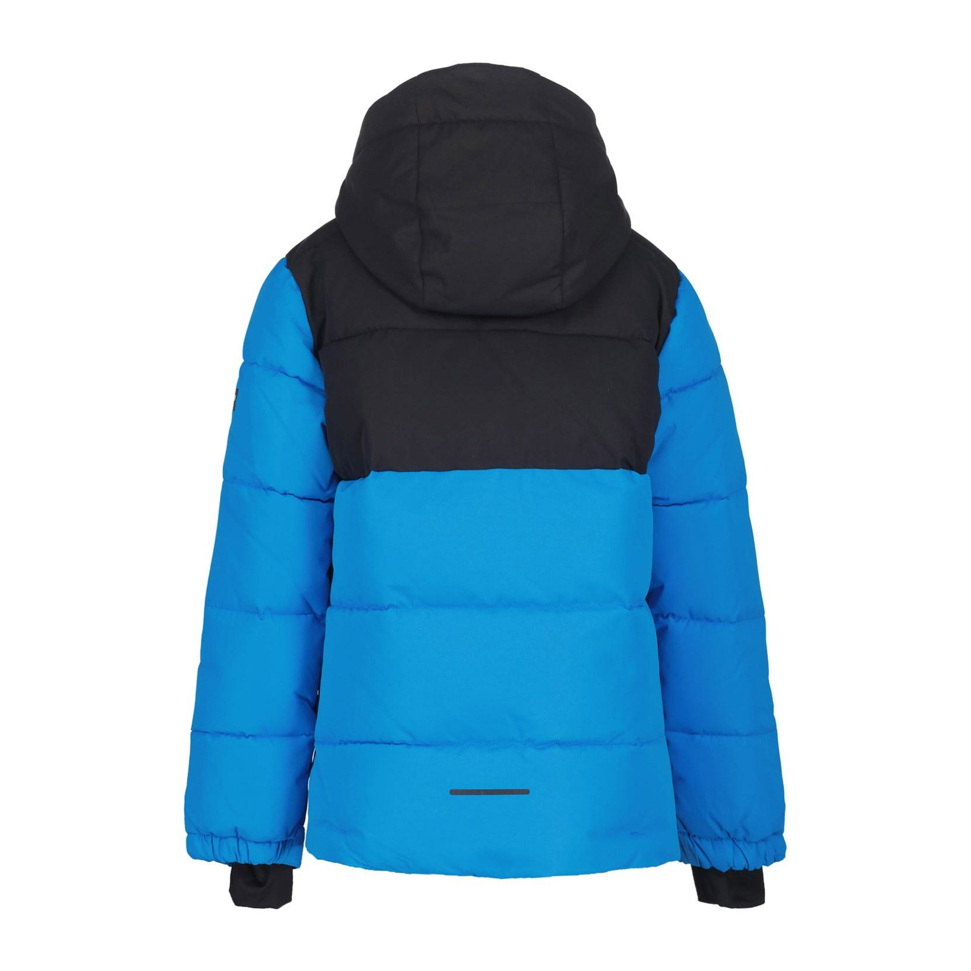Icepeak Louin Skijas Junior