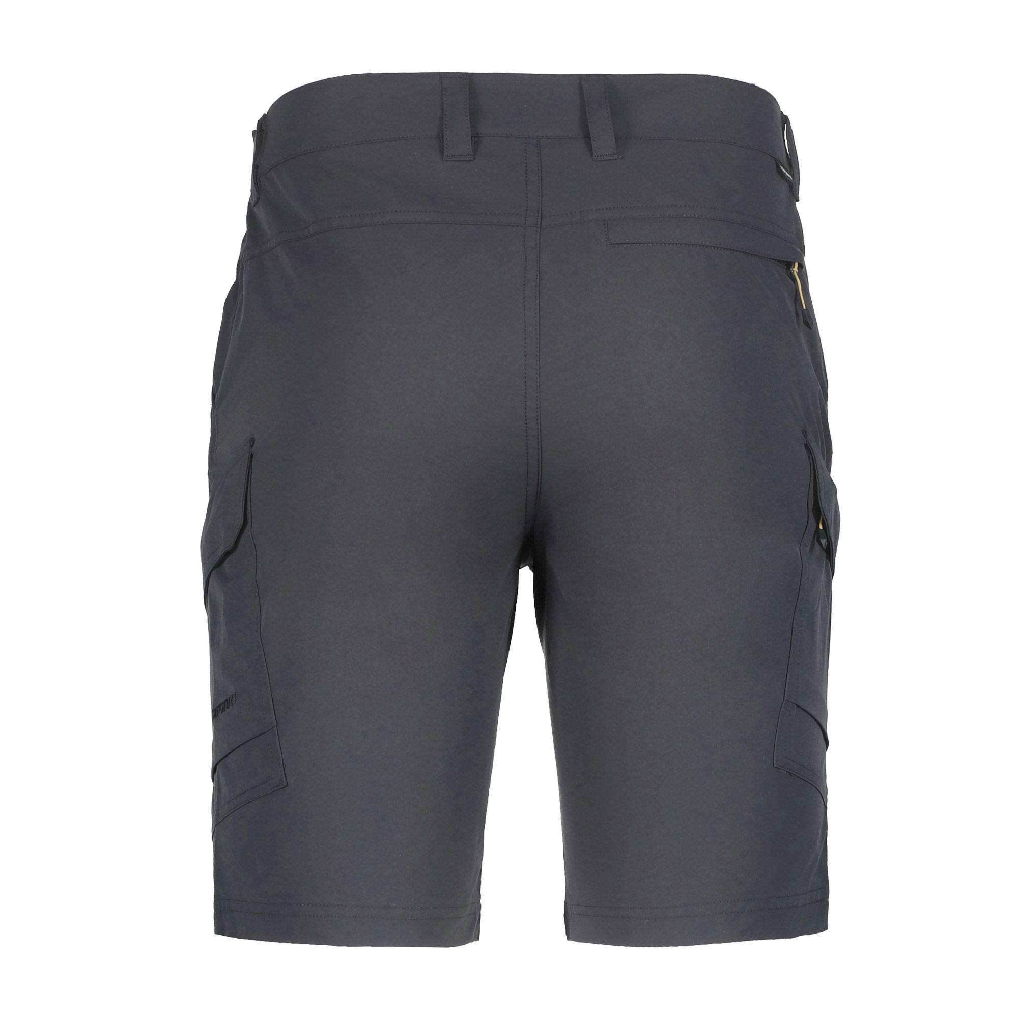 Icepeak Braswell Short Heren