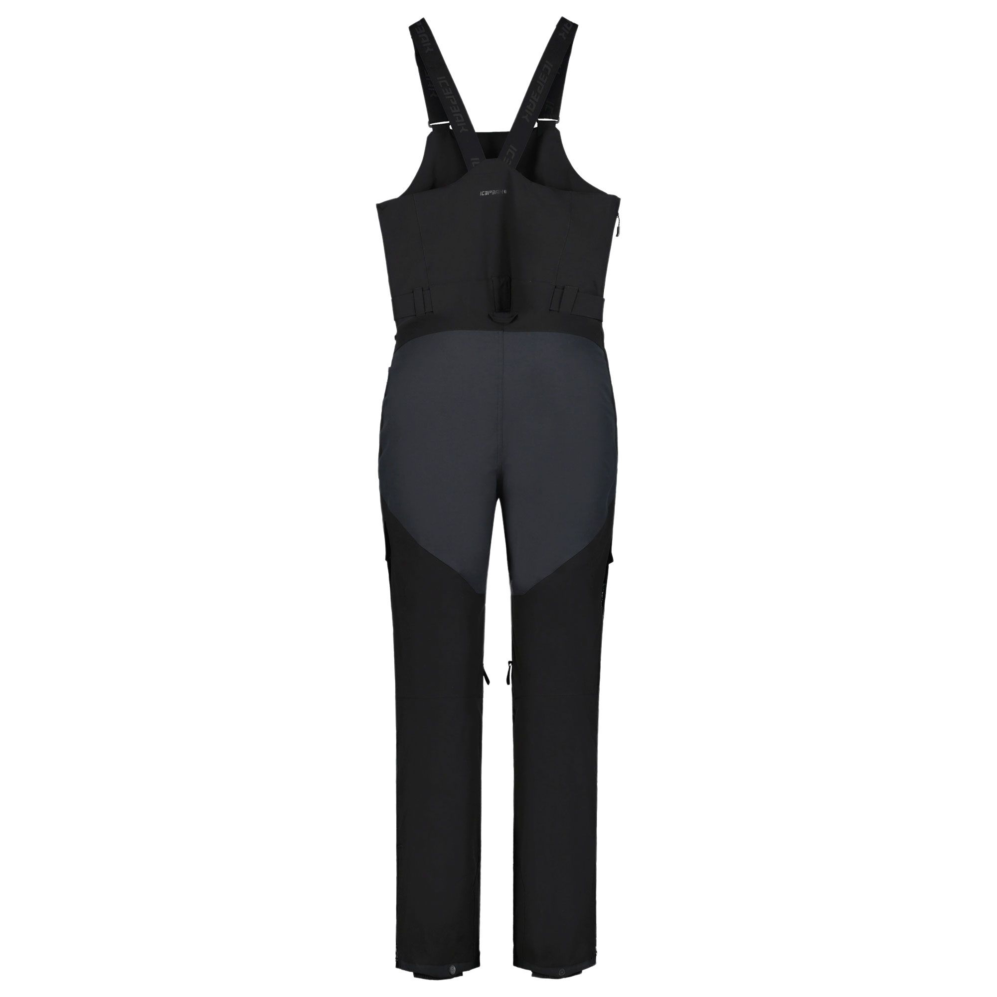 Pantalon de ski Icepeak Petrey