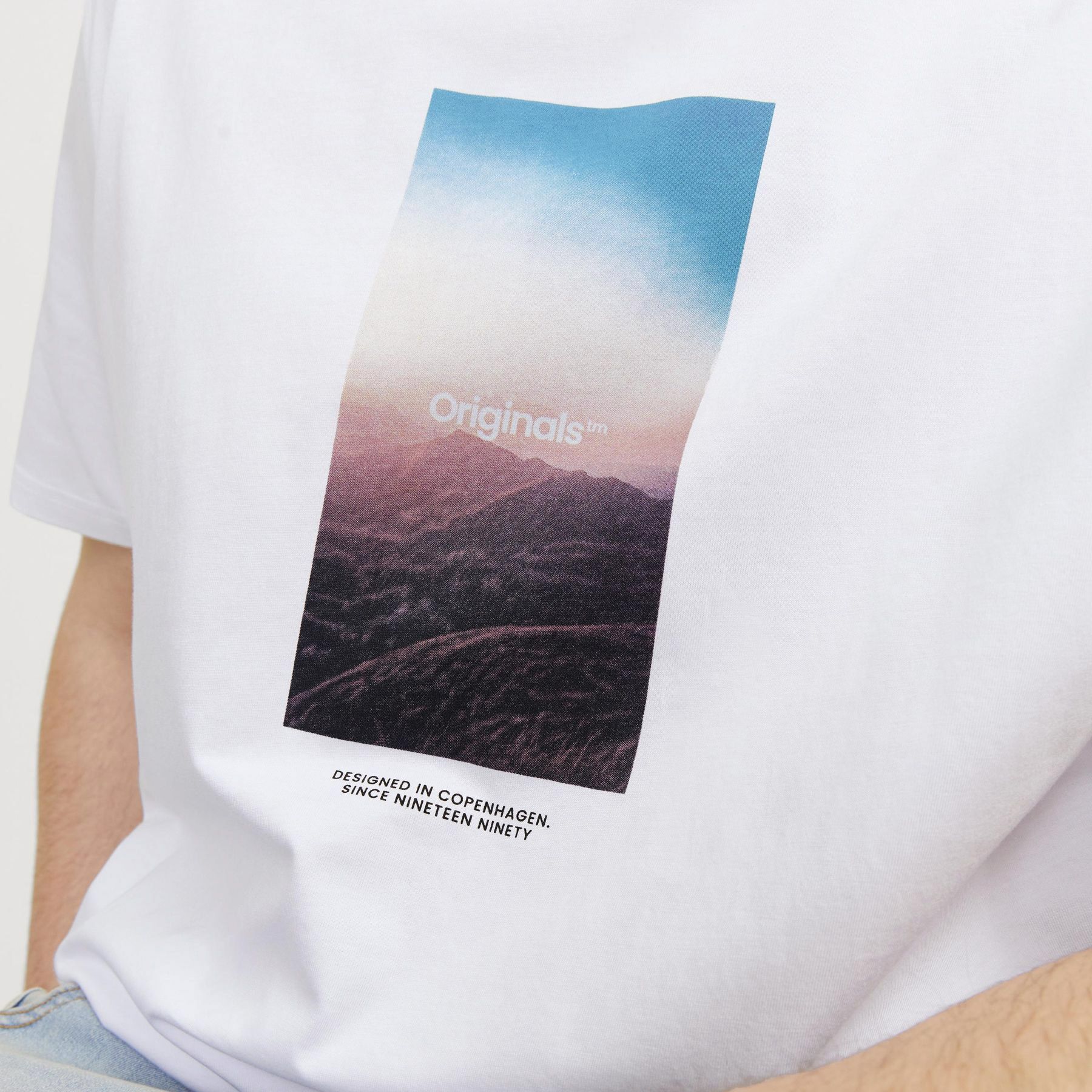 Jack & Jones Vesterbro Picture Shirt Heren (plussize)