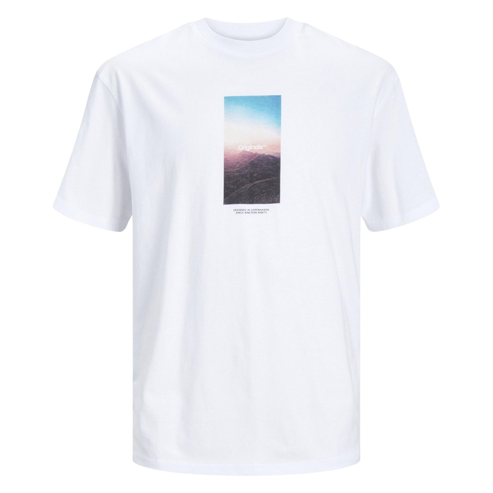 Jack & Jones Vesterbro Picture Shirt Heren (plussize)