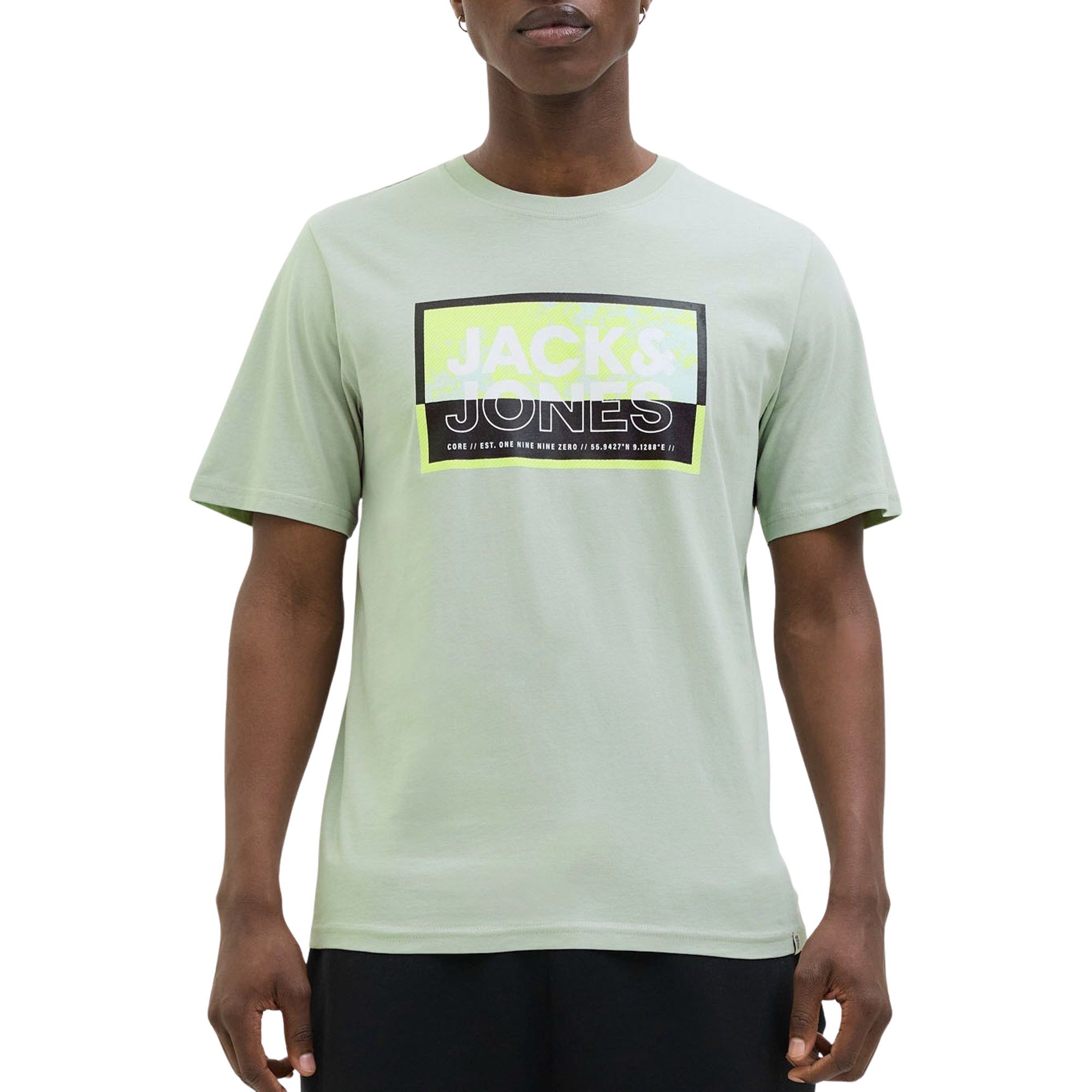 T-Shirt Jack & Jones Logan Summer Print Hommes