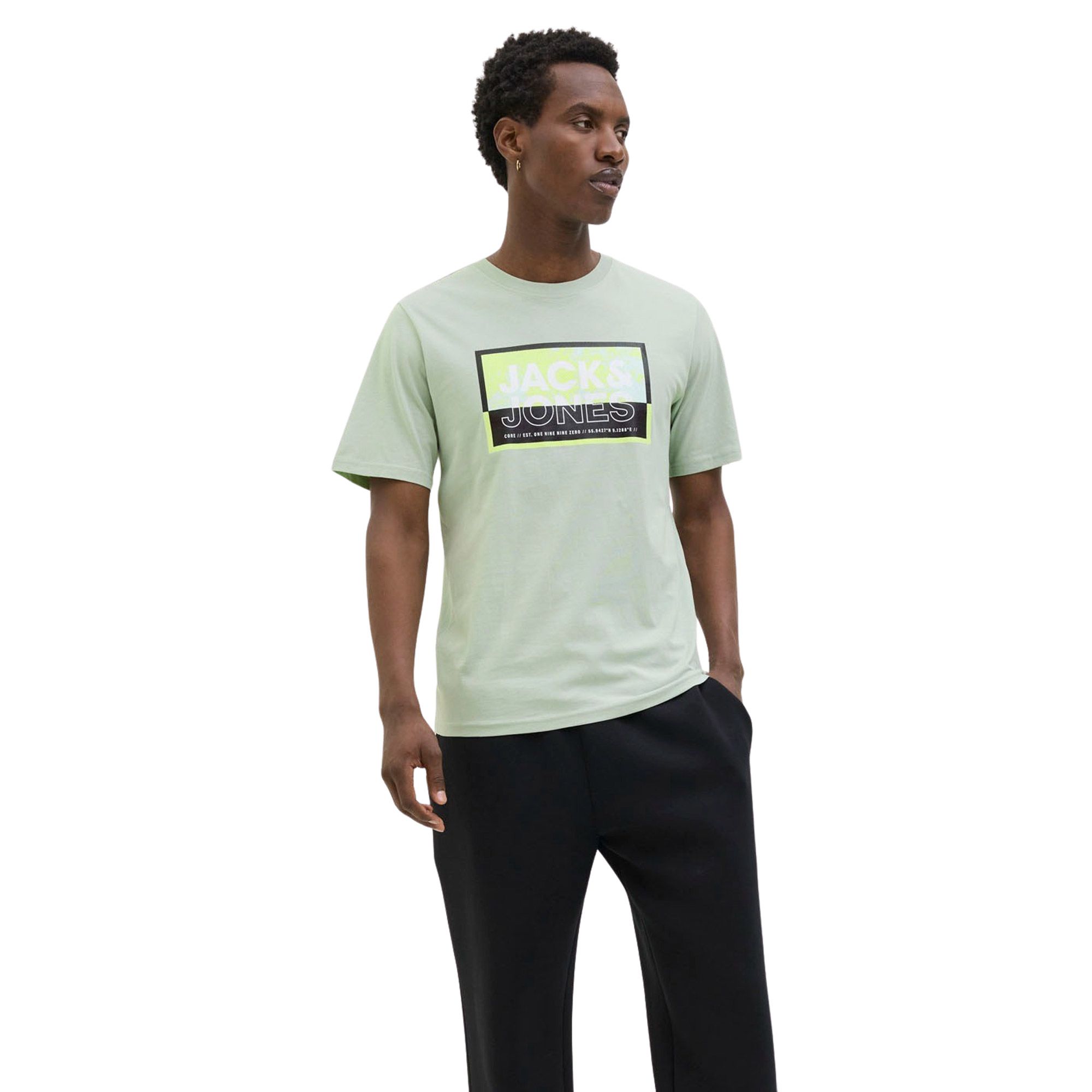 T-Shirt Jack & Jones Logan Summer Print Hommes