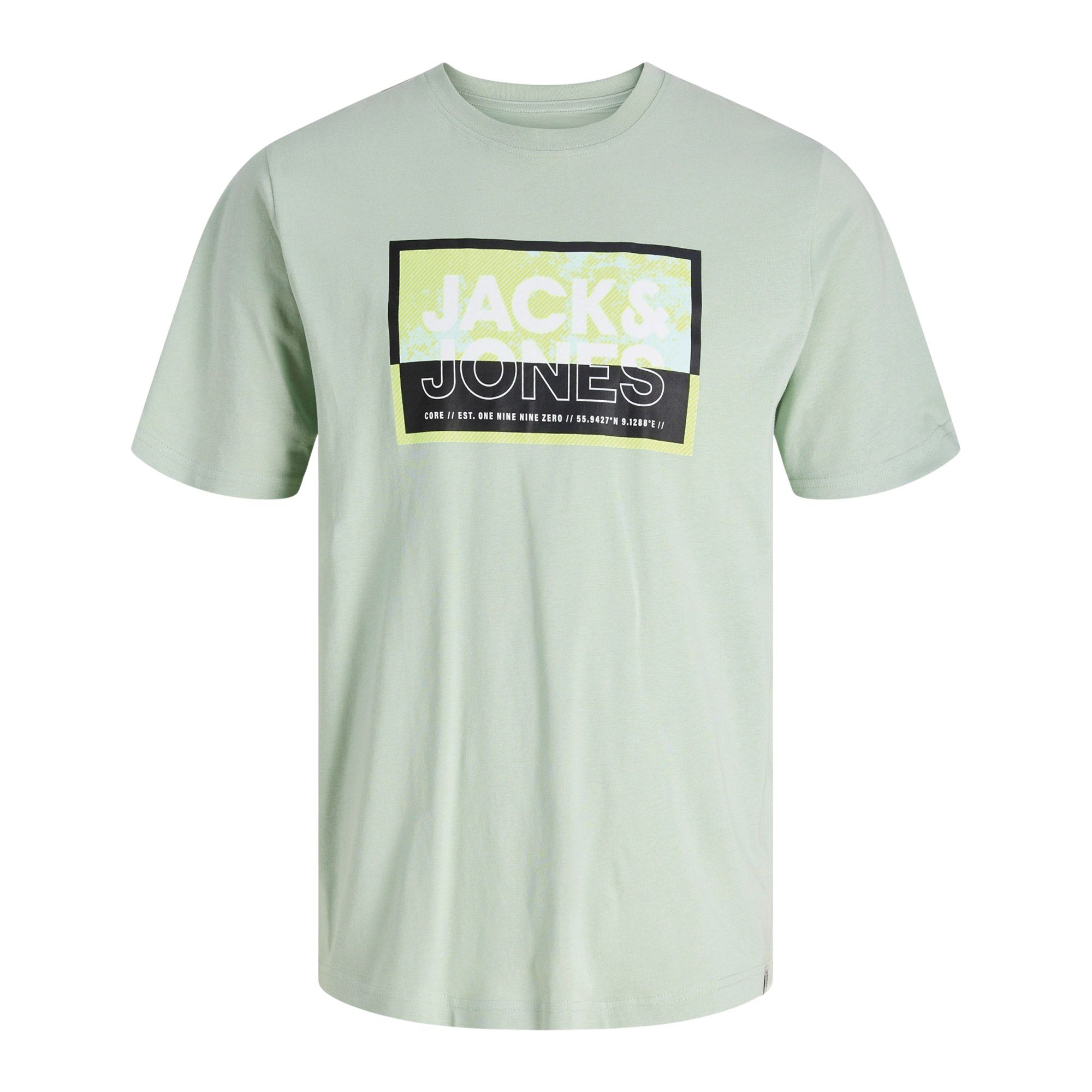 T-Shirt Jack & Jones Logan Summer Print Hommes