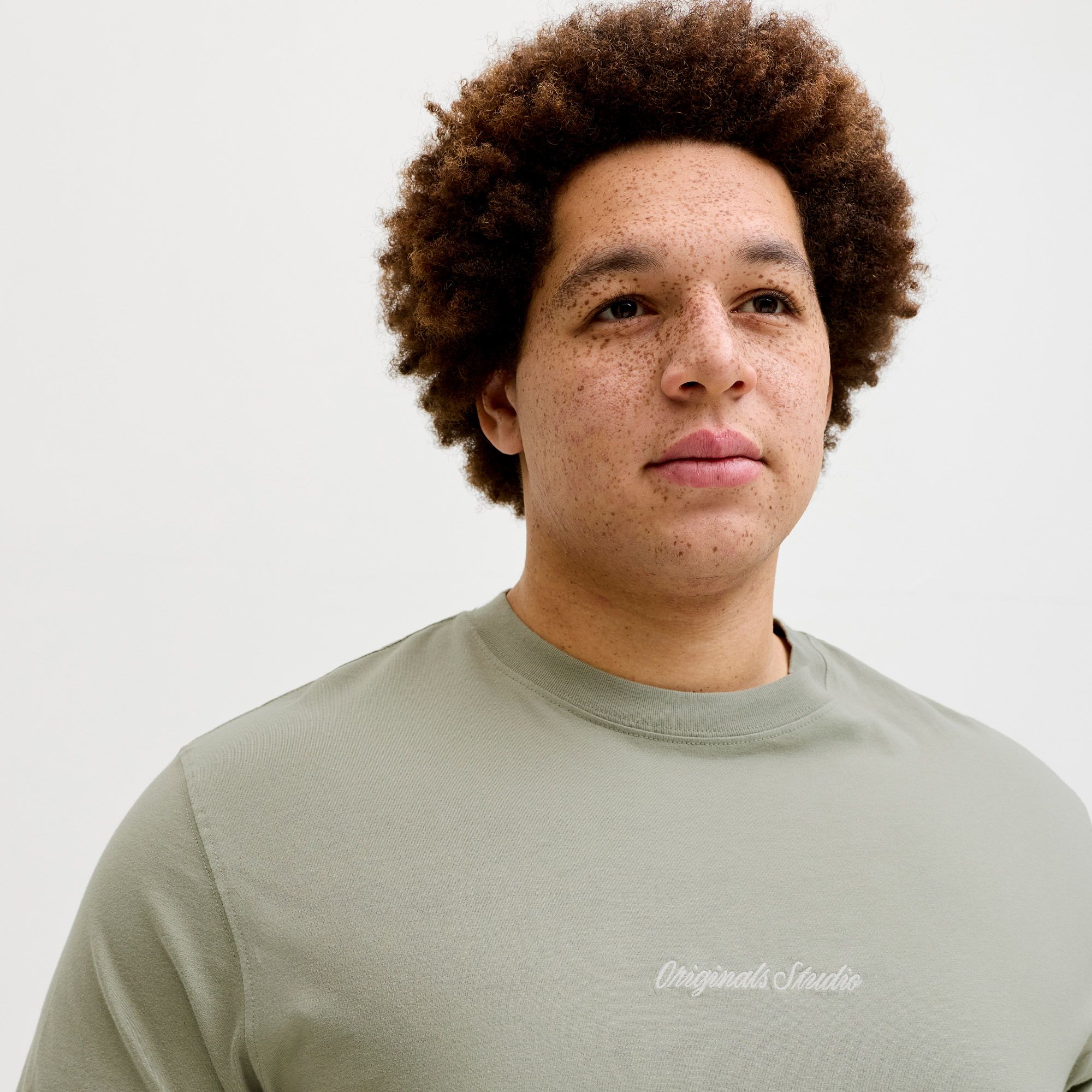 Jack & Jones Norrebro Embroidered Crew T-shirt Heren (plussize)