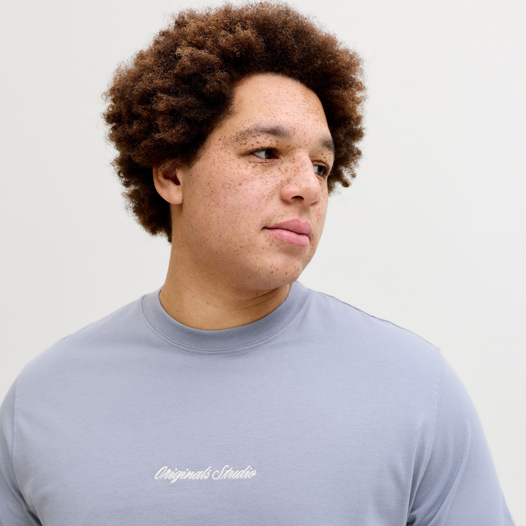 Jack & Jones Norrebro Embroidered Crew T-shirt Heren (plussize)
