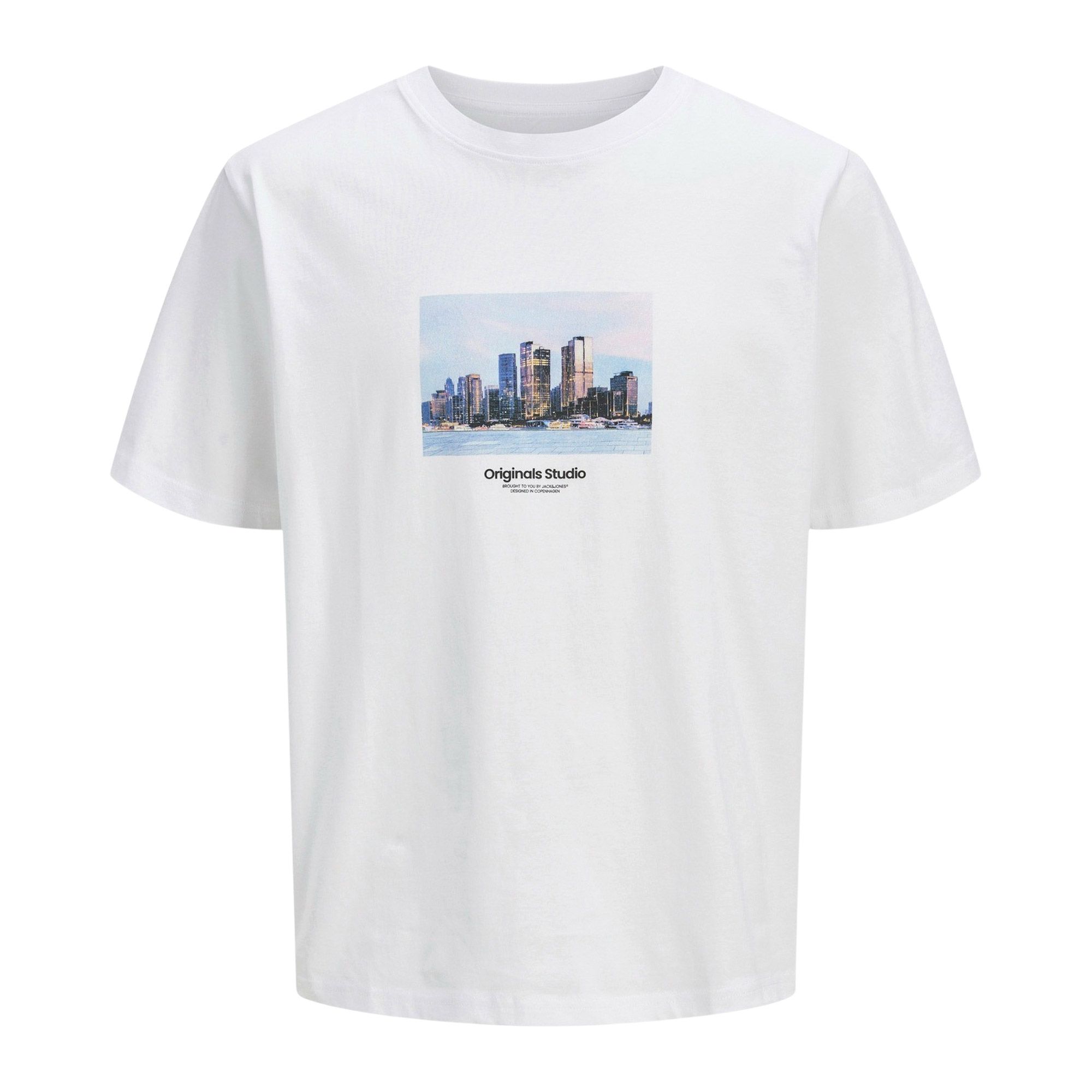 Jack & Jones Vesterbro Picture Shirt Heren