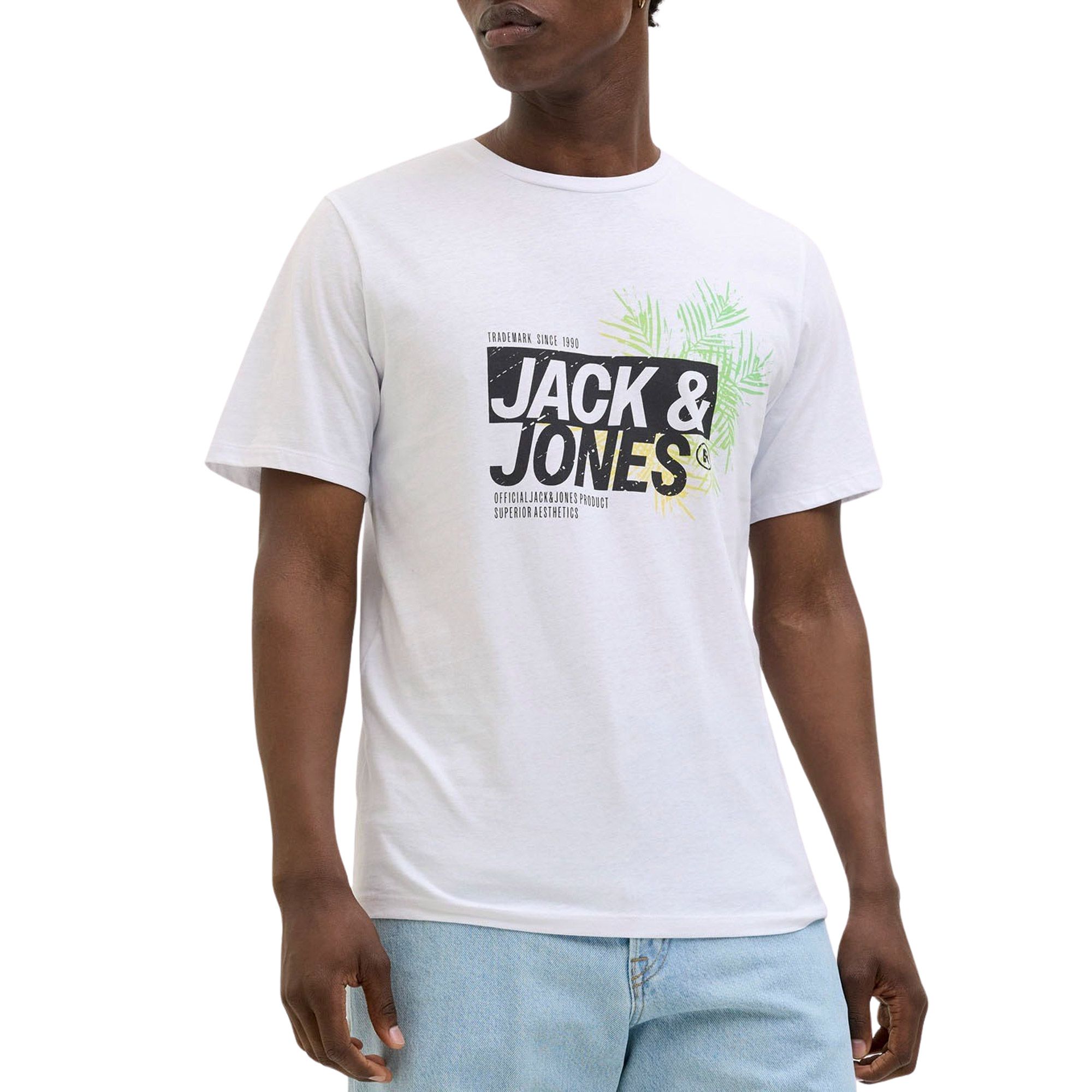 T-shirt Jack & Jones Jaxon Hommes