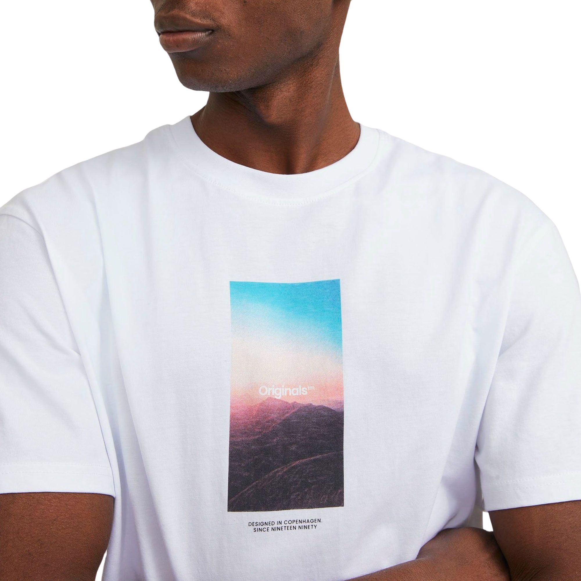 Jack & Jones Vesterbro Picture Shirt Men