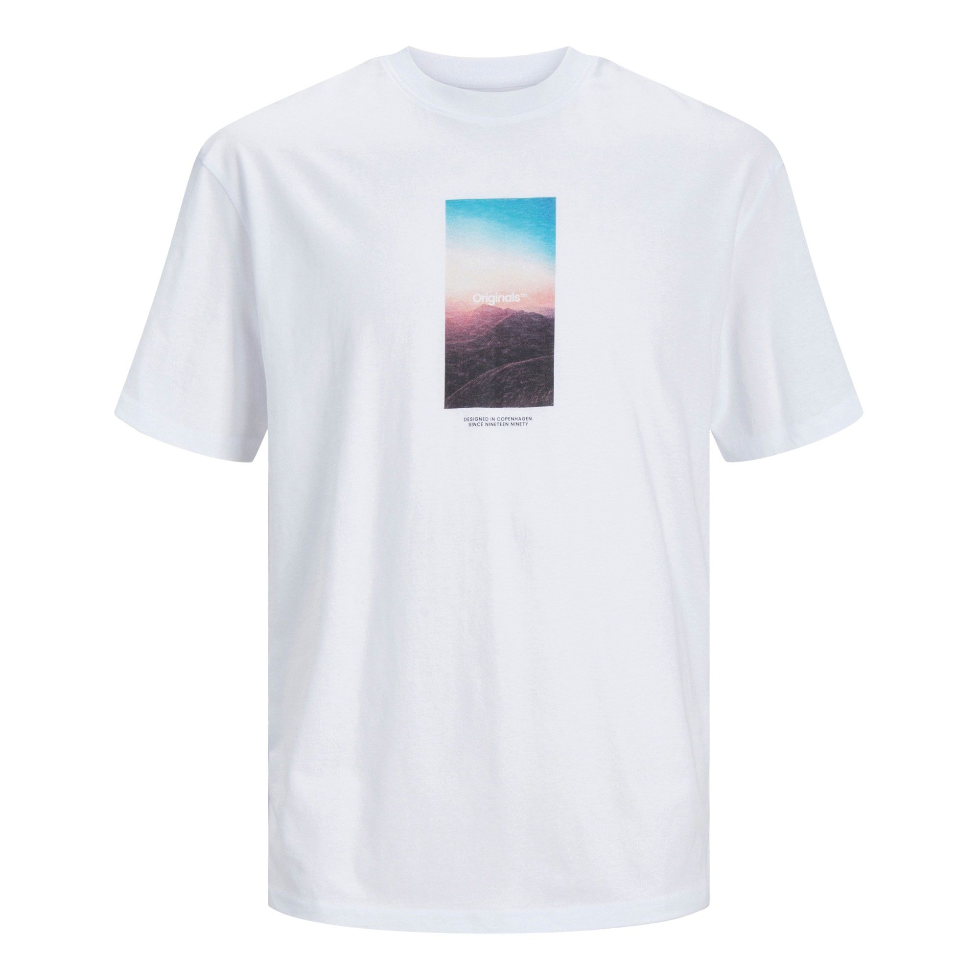 Jack & Jones Vesterbro Picture Shirt Men
