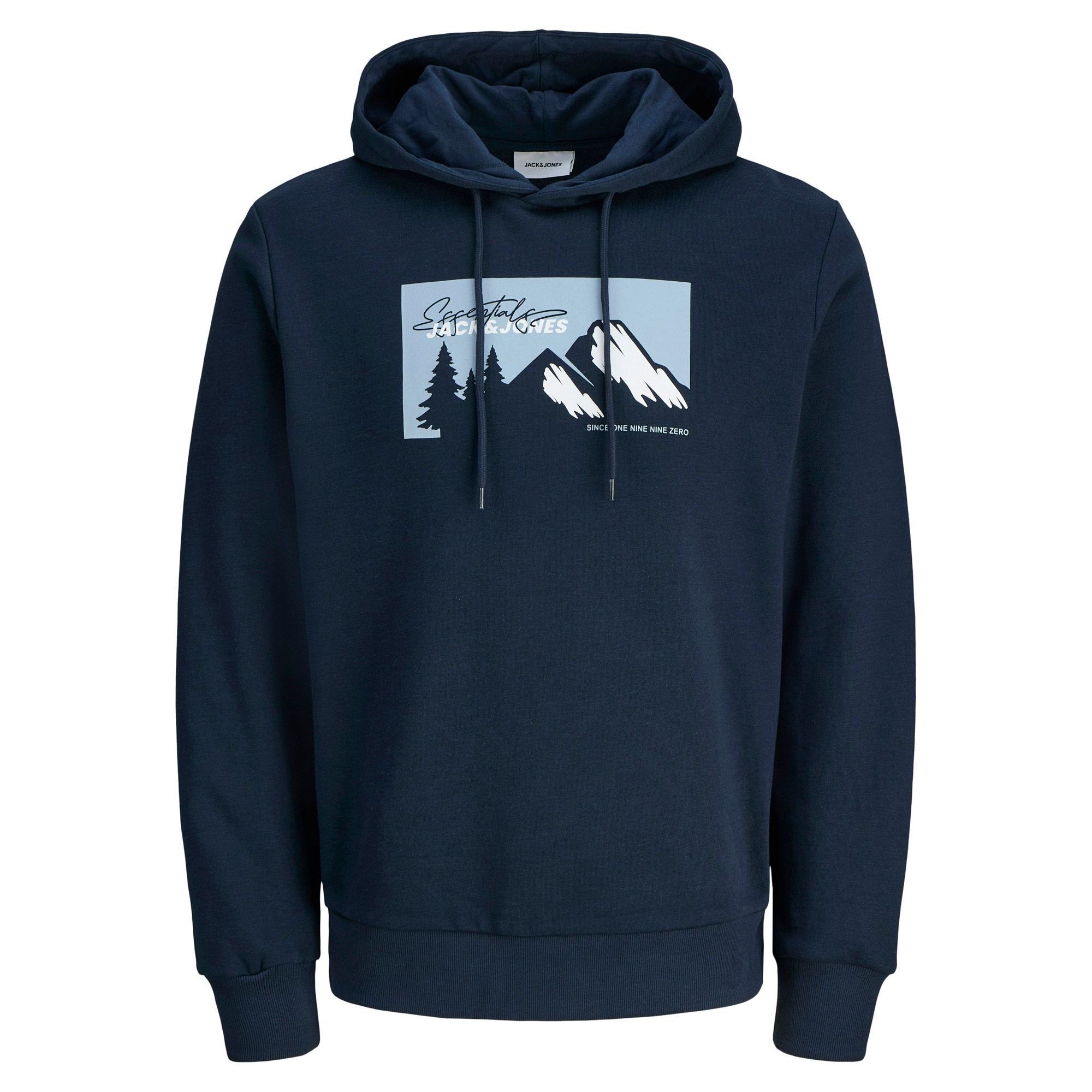 Jack & Jones Sun Hoodie Heren