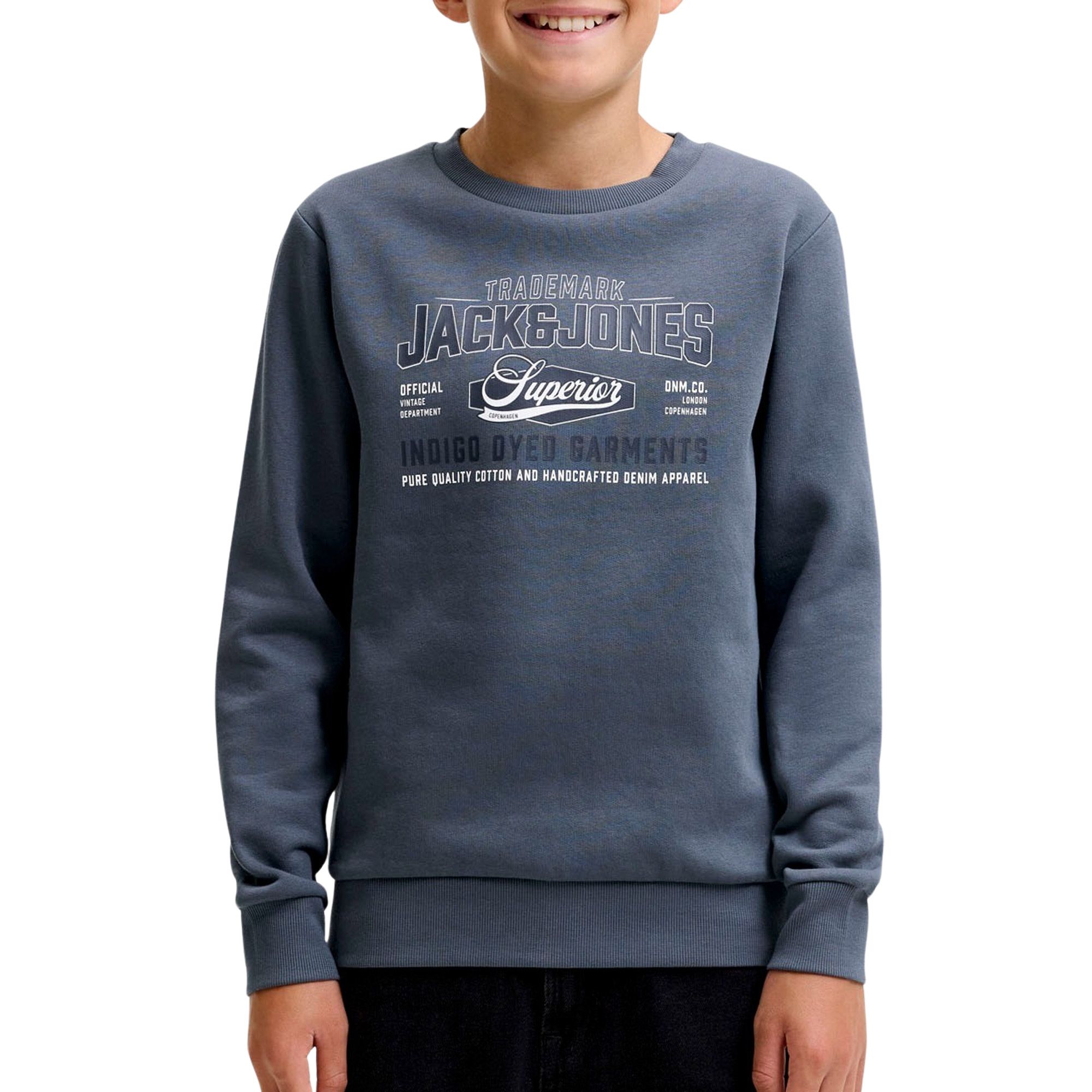 Jack &amp; Jones Logo Crew 2 Col Sweater Junior