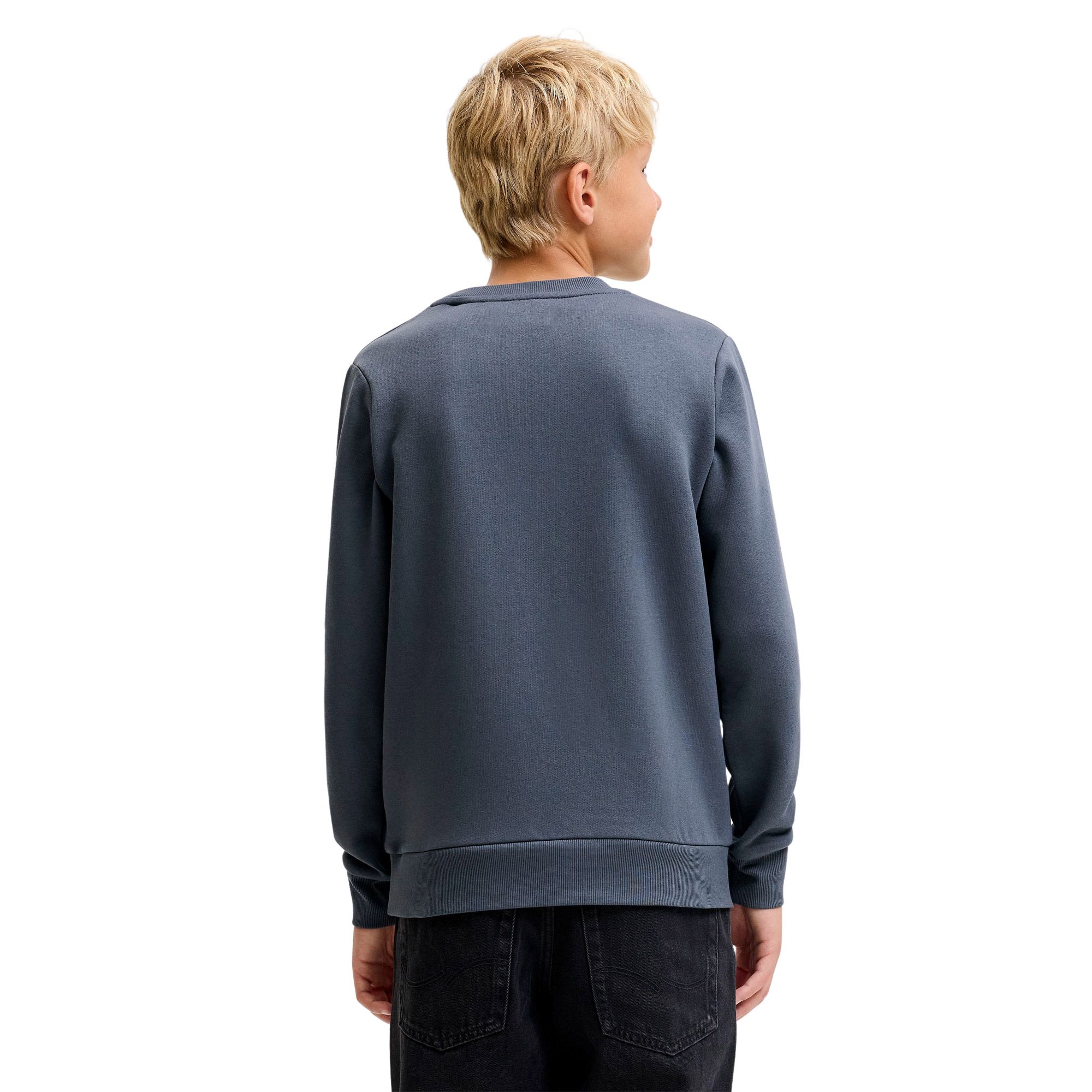 Jack & Jones Logo Crew 2 Col Sweater Junior