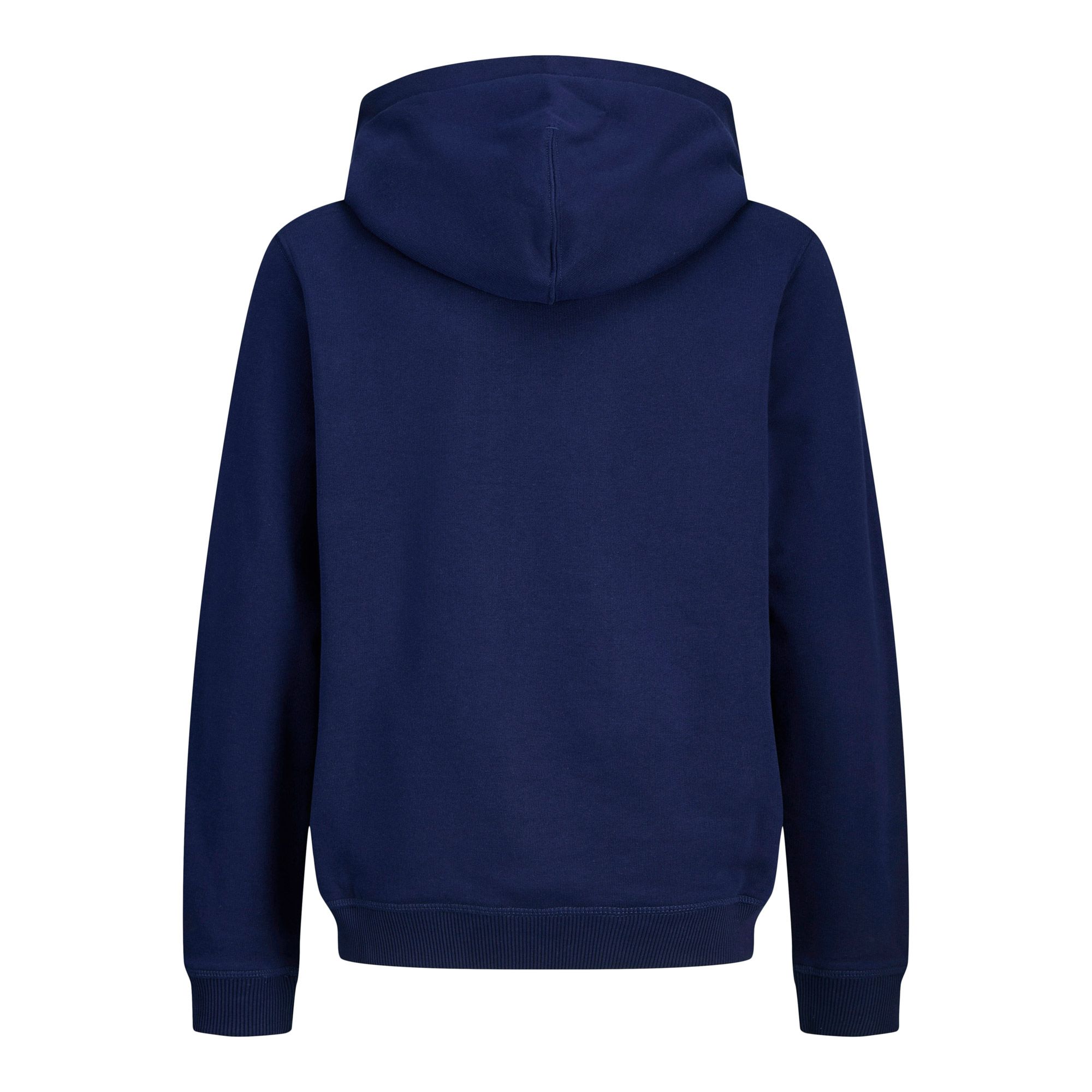 Jack & Jones Norrebro Emb Sweat Hoodie Junior