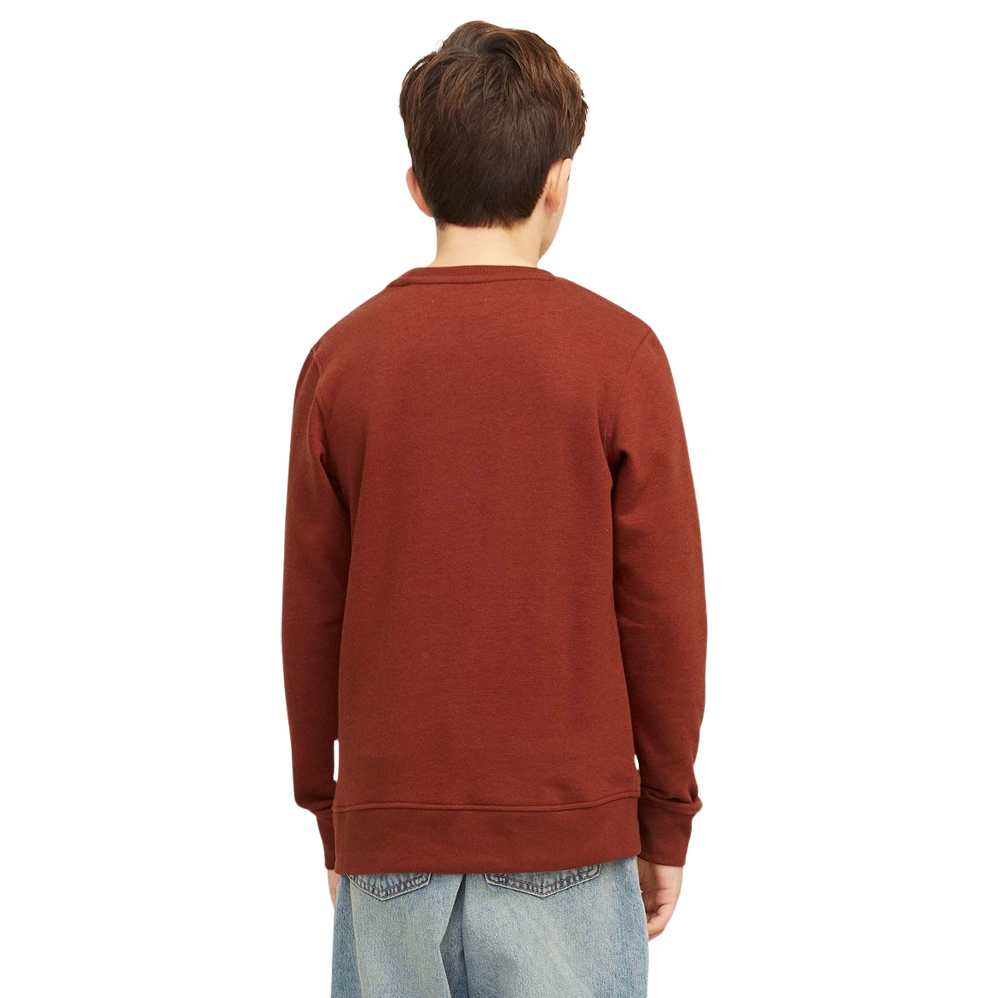 Jack & Jones Vesterbro Newton Sweater Jongens