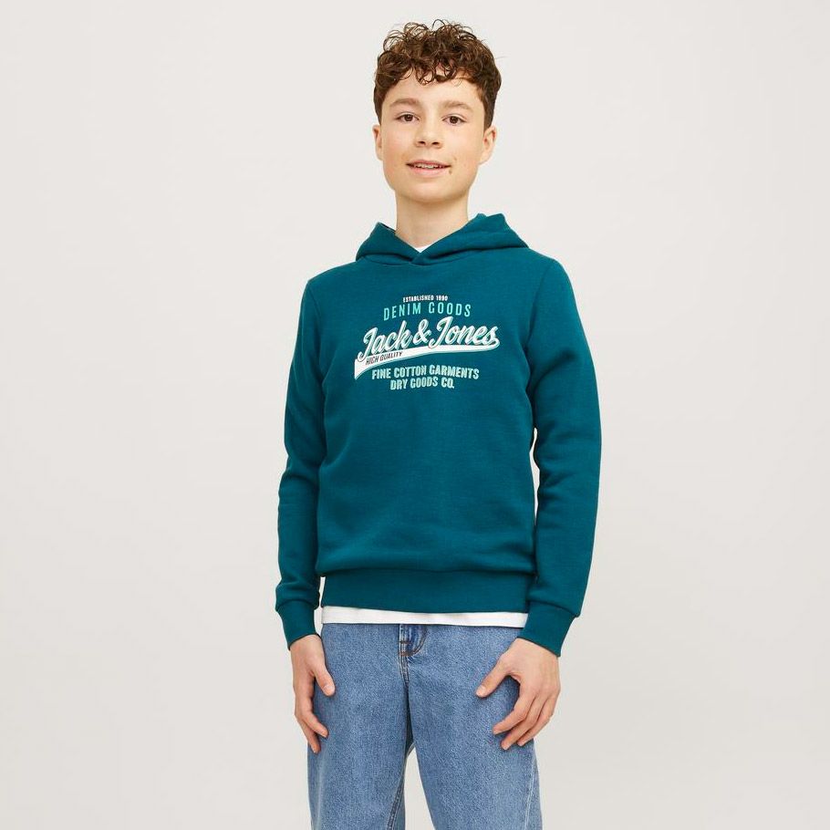 Jack & Jones Logo Hoodie Junior