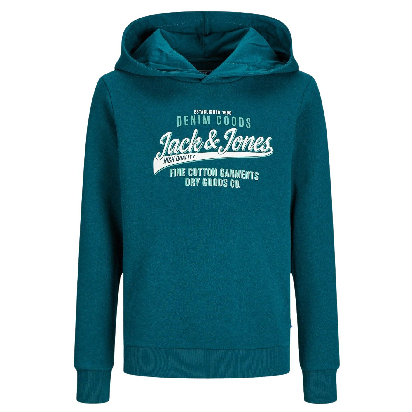 Jack & Jones Logo Hoodie Junior