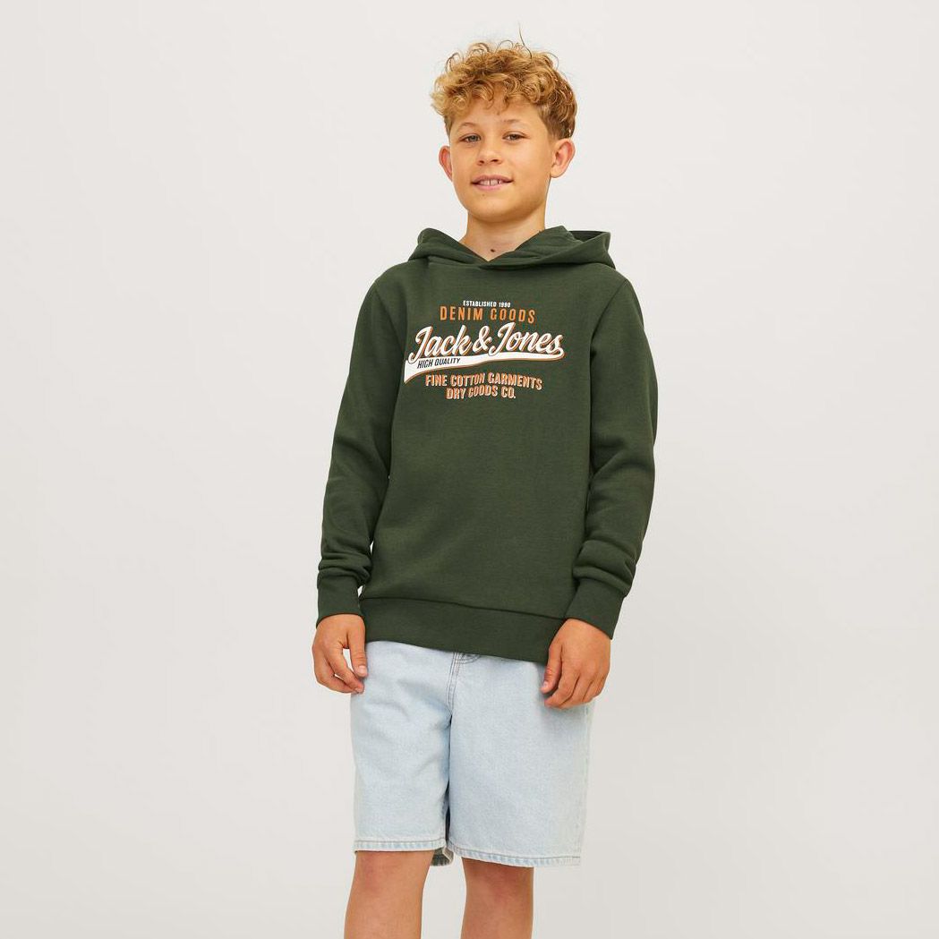 Jack & Jones Logo Hoodie Junior