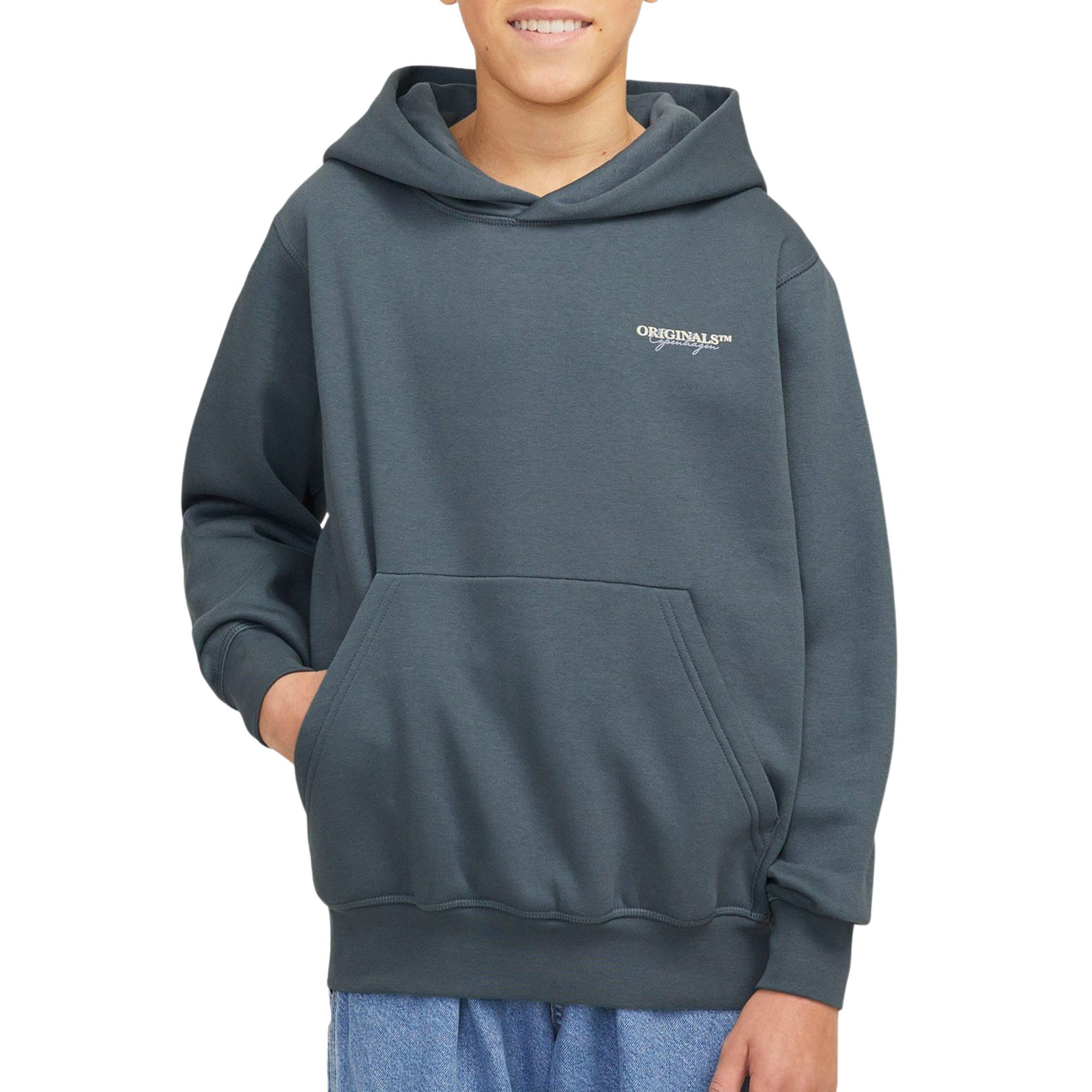 Jack & Jones Joris Lington Hoodie Junior