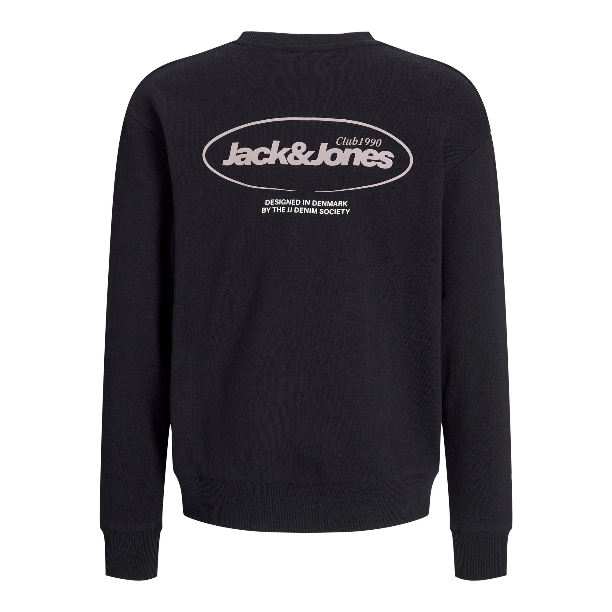 Jack & Jones Bradley Graphic Sweater Junior