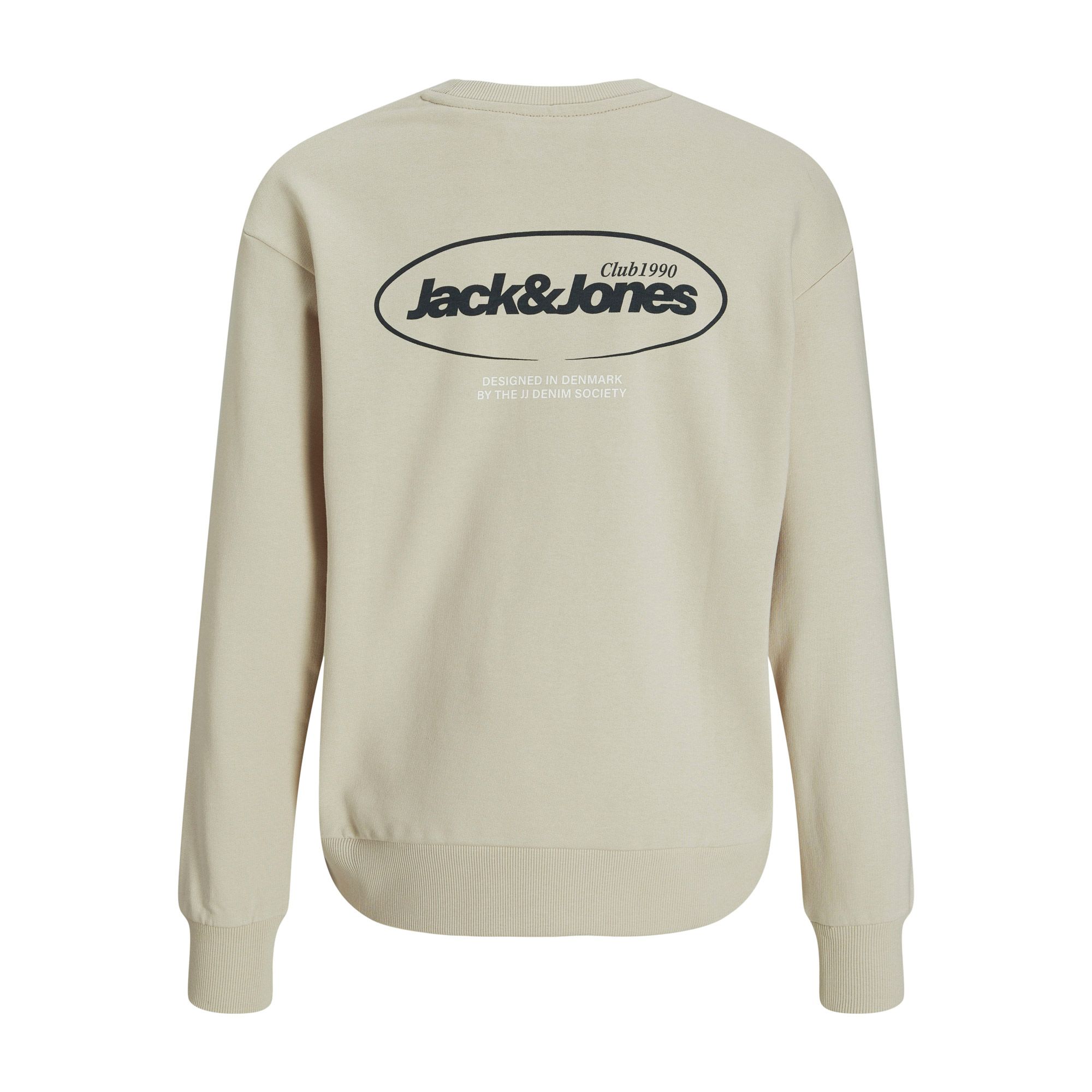 Jack & Jones Bradley Graphic Sweater Junior