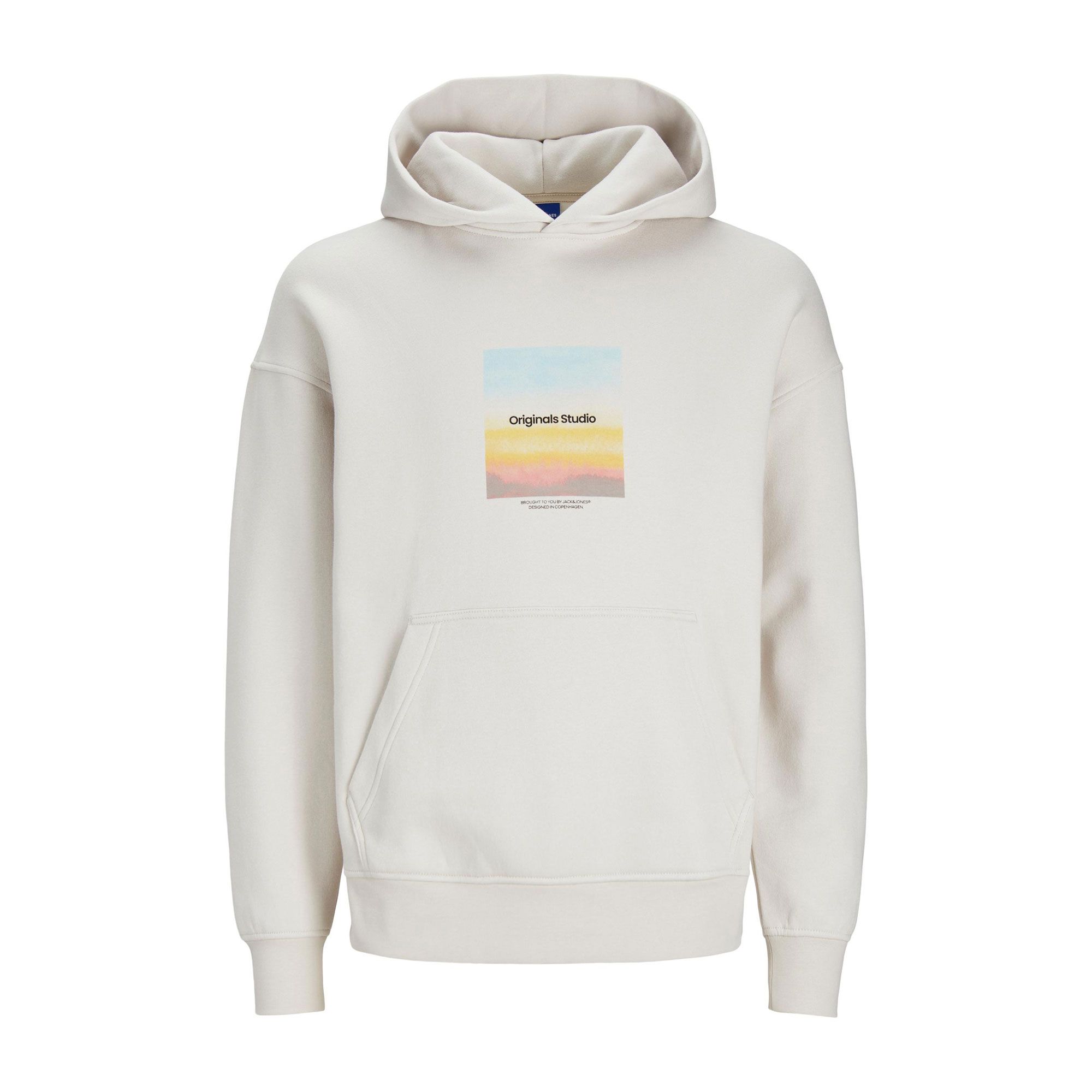 Jack & Jones Vesterbro Hoodie Heren