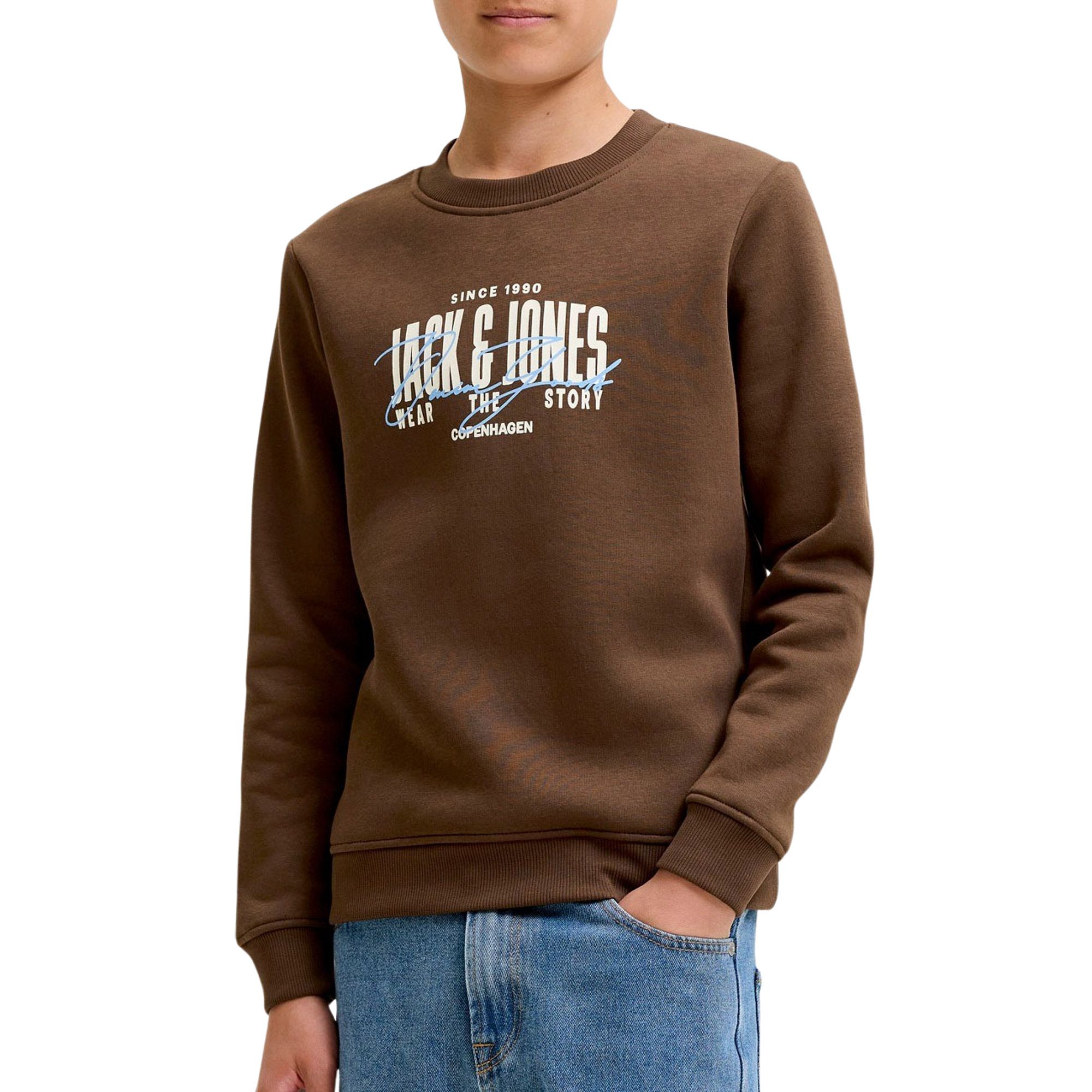 Jack & Jones Aero Sweater Jongens