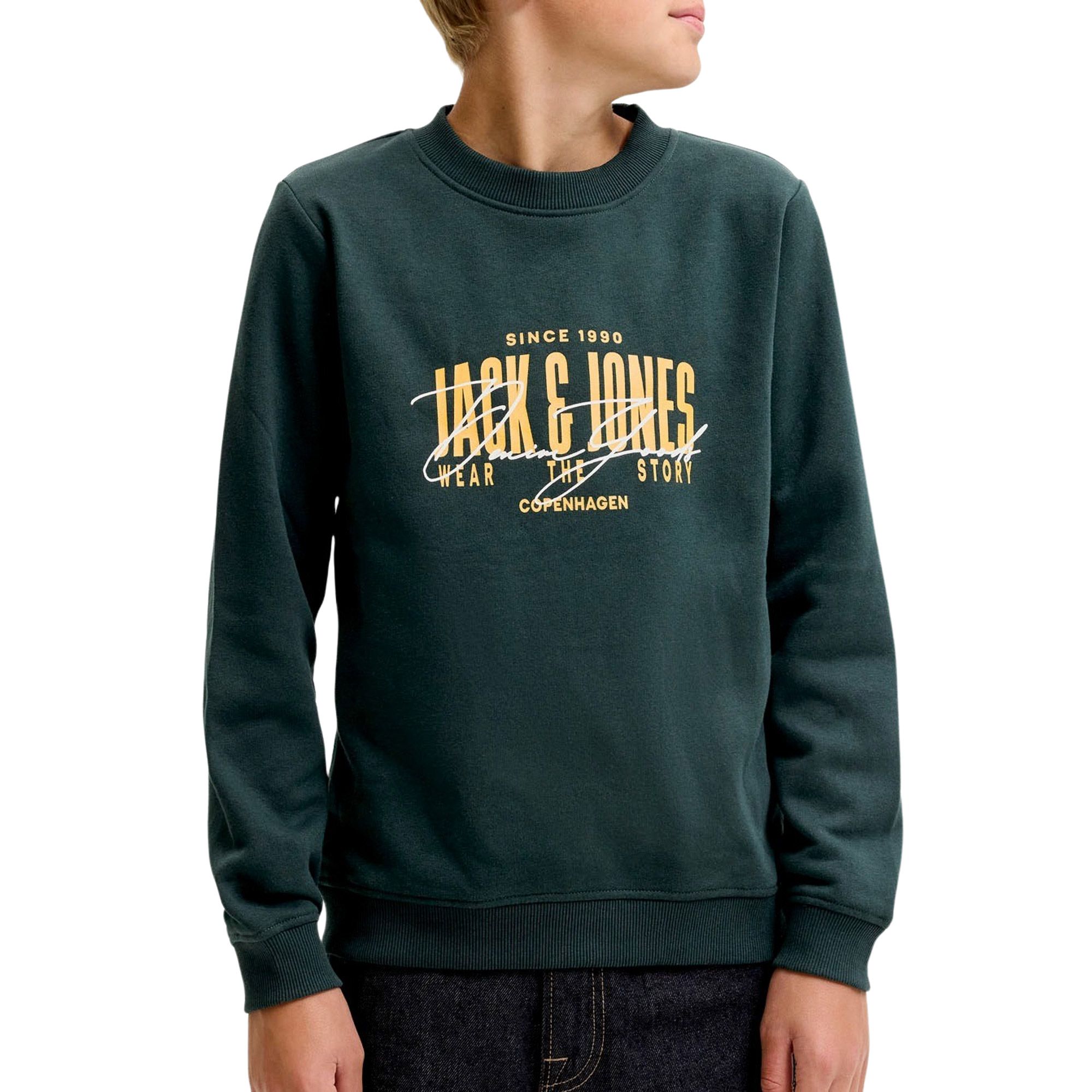 Pull Jack &amp; Jones Aero Garçons