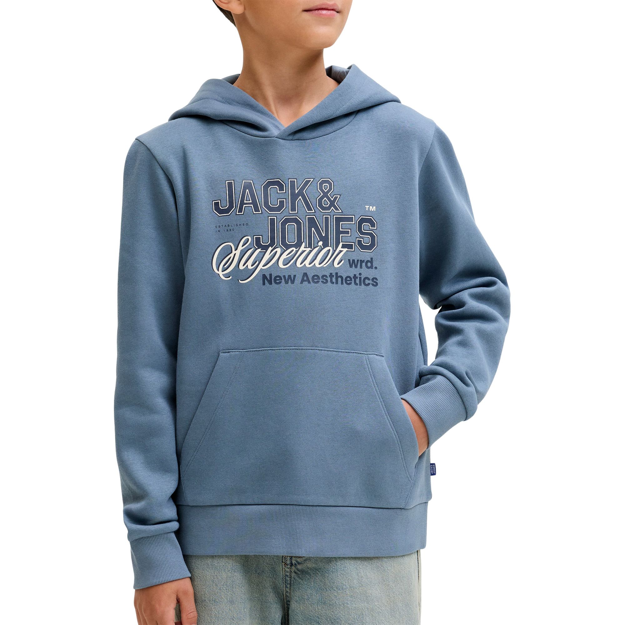 Jack & Jones Logo Hoodie Junior