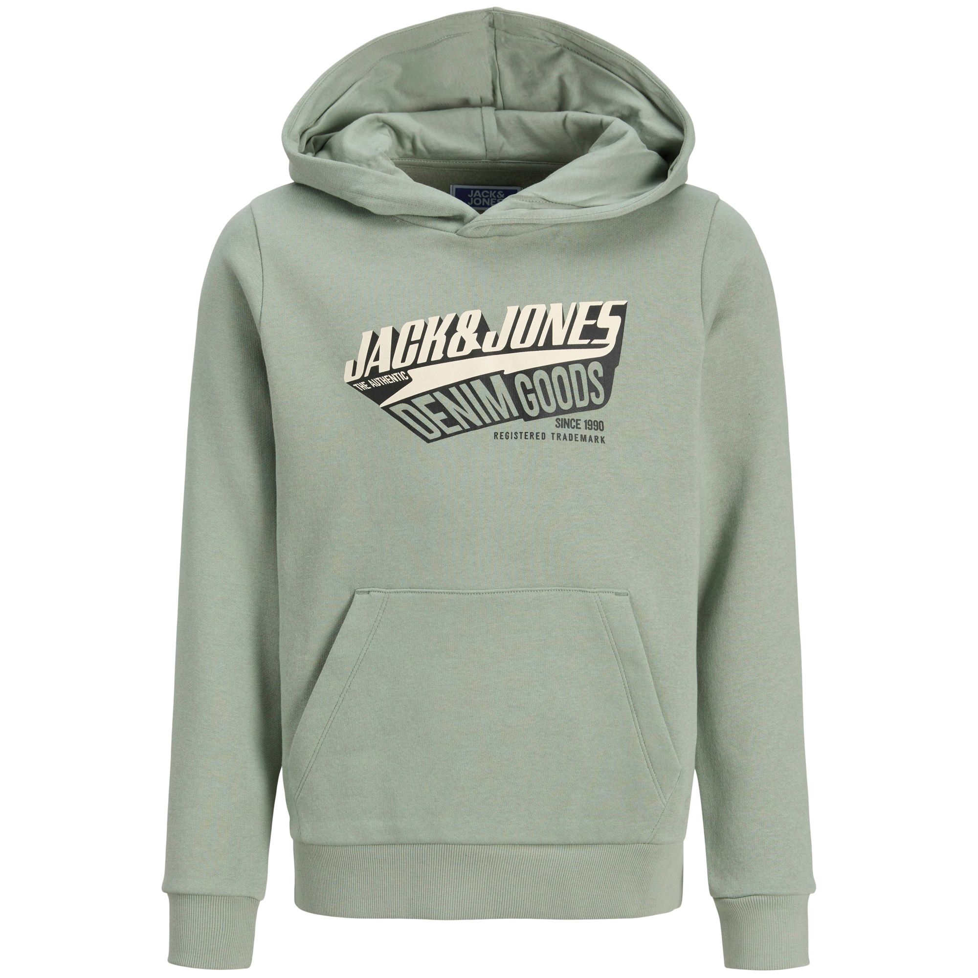 Jack & Jones Logo Hoodie Junior