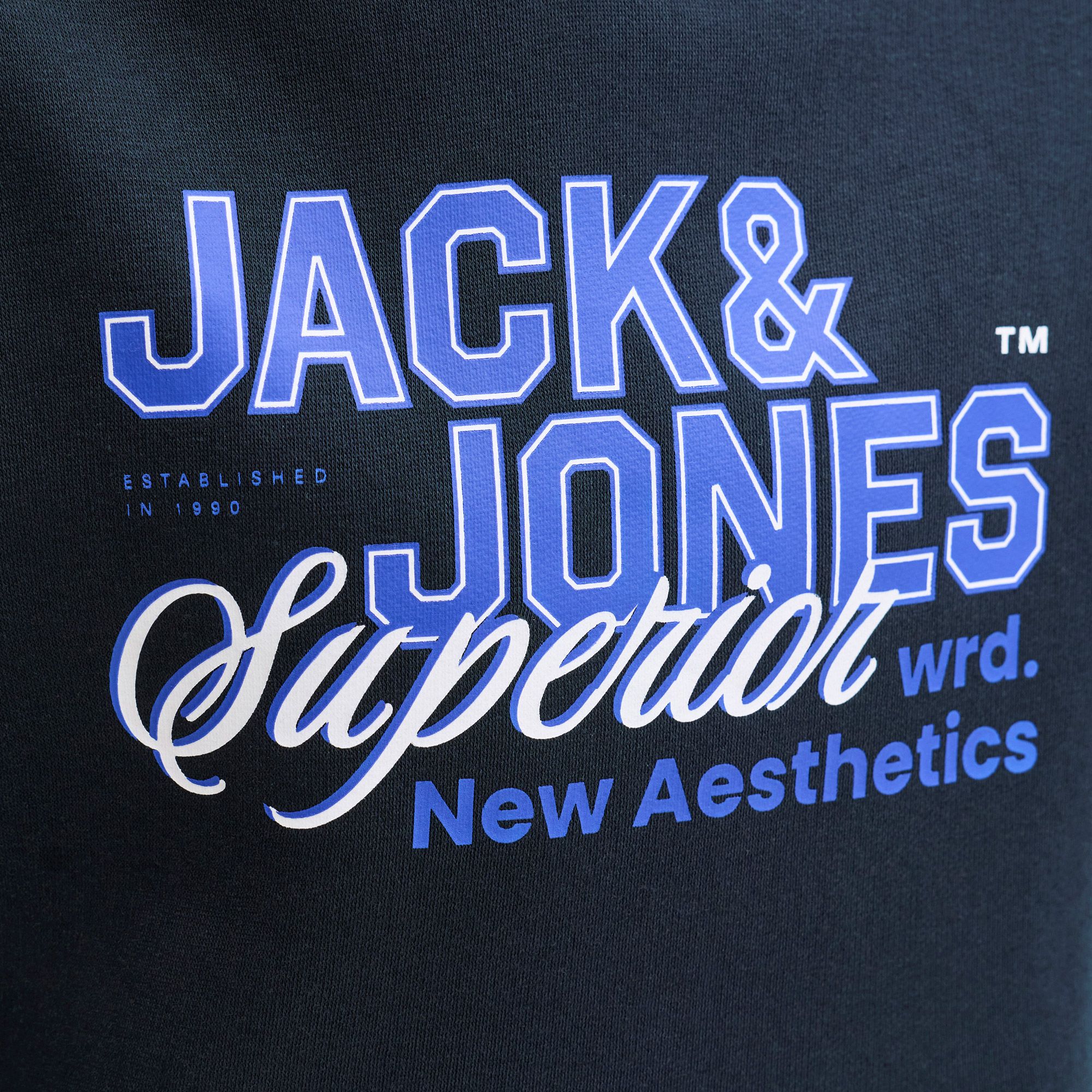 Jack & Jones Logo Hoodie Junior
