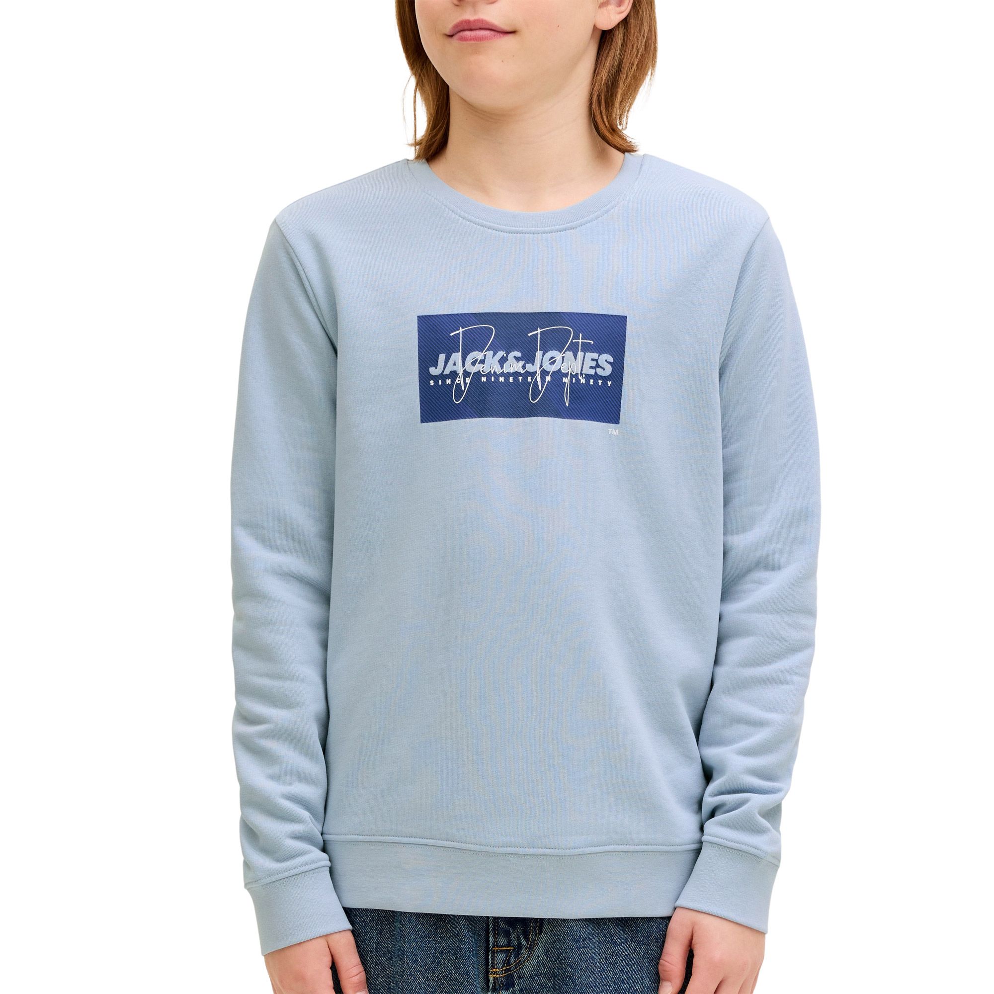 Jack &amp; Jones Cole Print Crew Sweater Junior