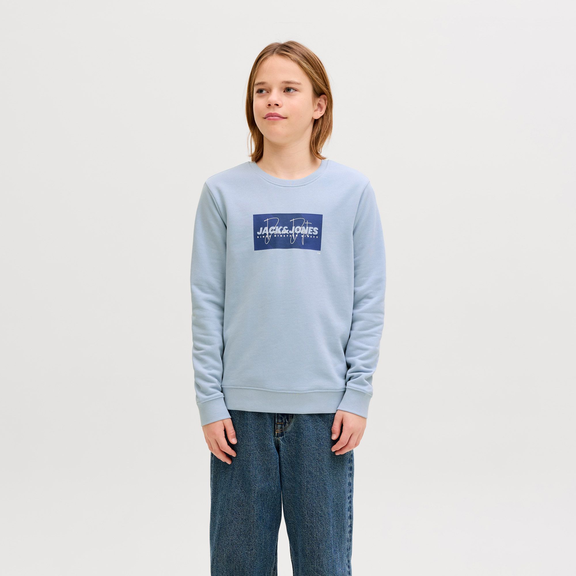 Jack & Jones Cole Print Crew Sweater Junior