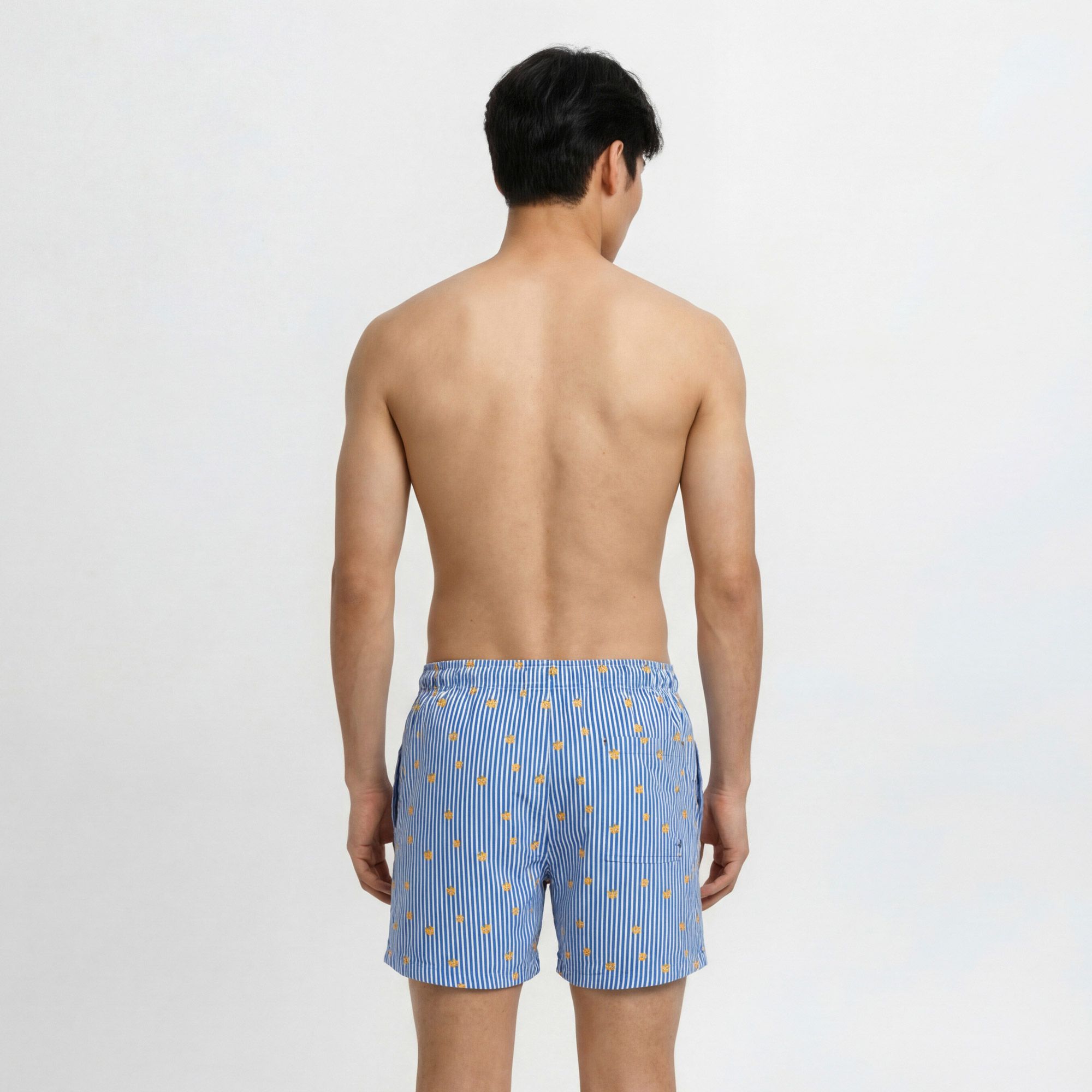 Jack & Jones Maui Breeze Mini Stripe Zwemshort Heren