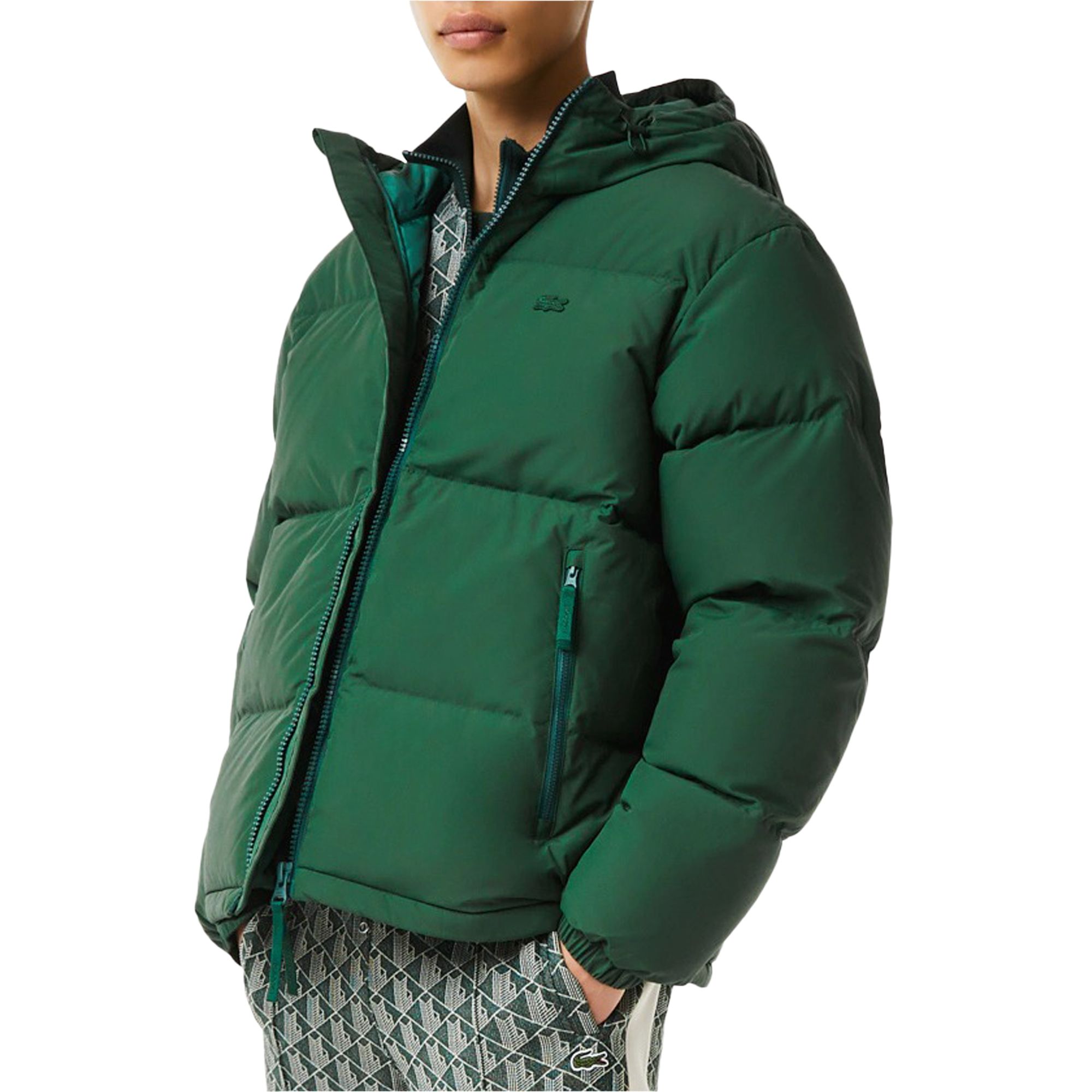 Lacoste Winter jacket Men