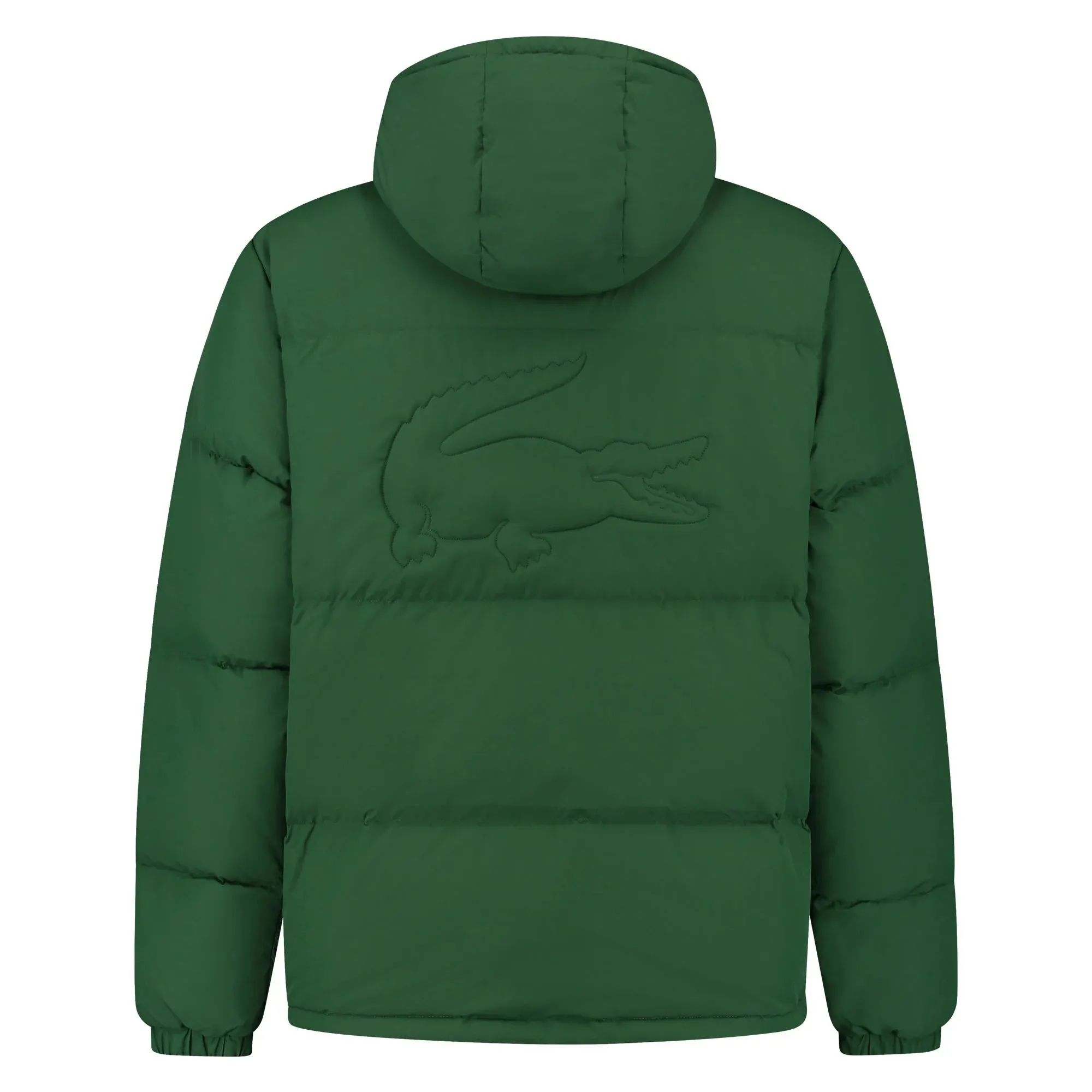 Lacoste Winter jacket Men