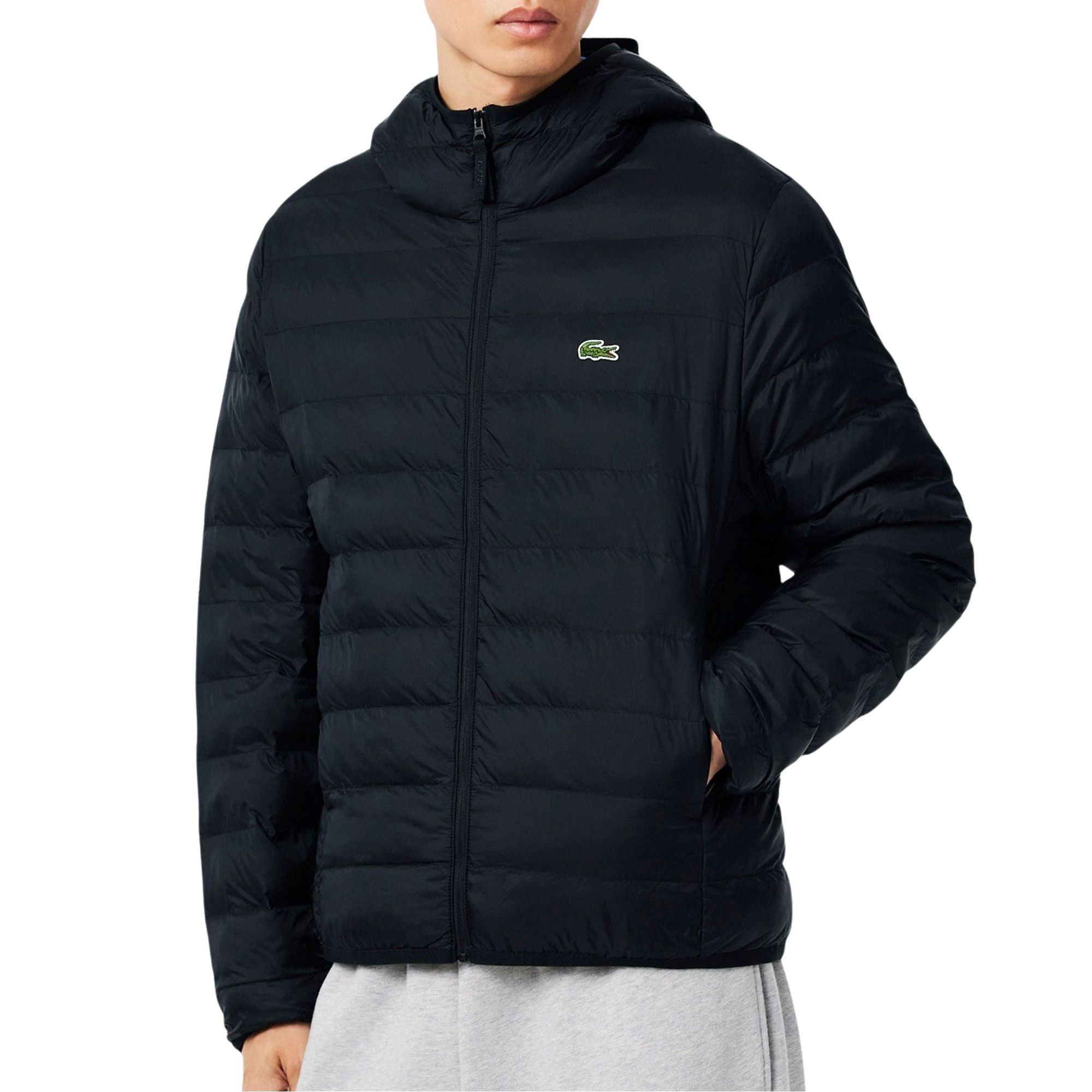 Lacoste Puffer Windjacke Herren