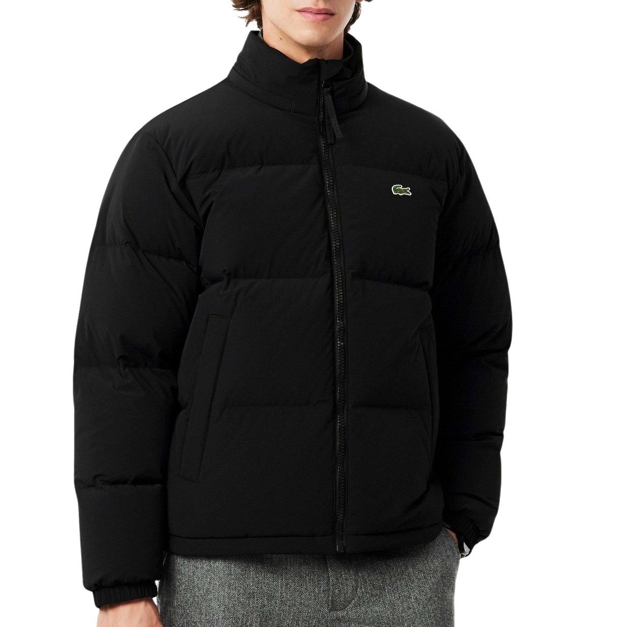 Lacoste Winterjas Heren