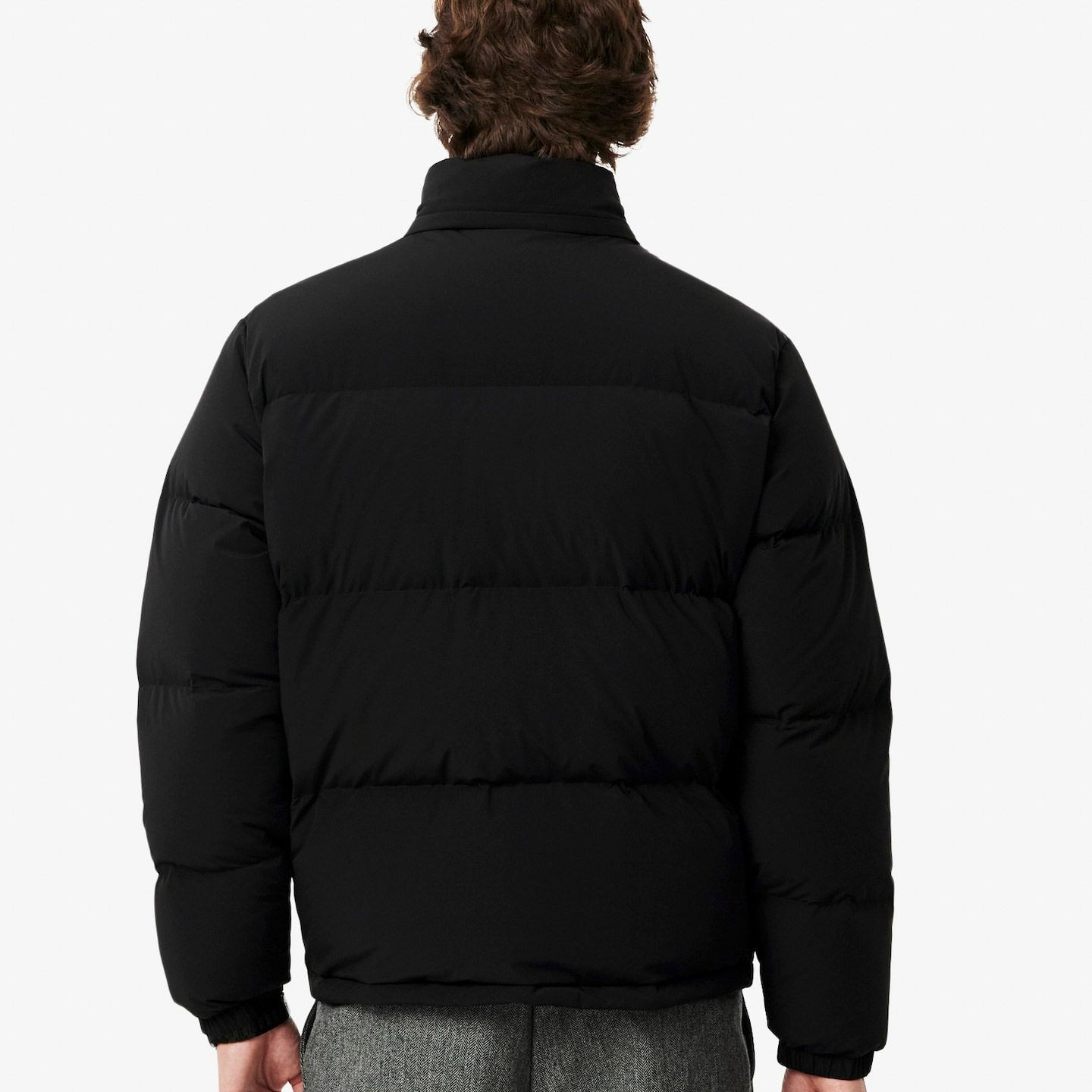 Lacoste Winterjas Heren