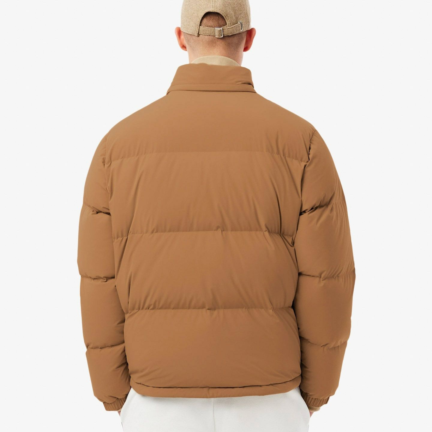 Lacoste Winterjas Heren