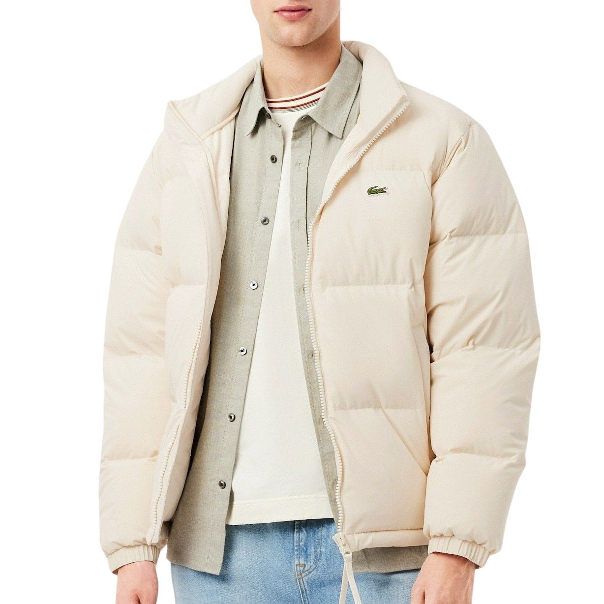 Lacoste Winterjacket Men | Plutosport