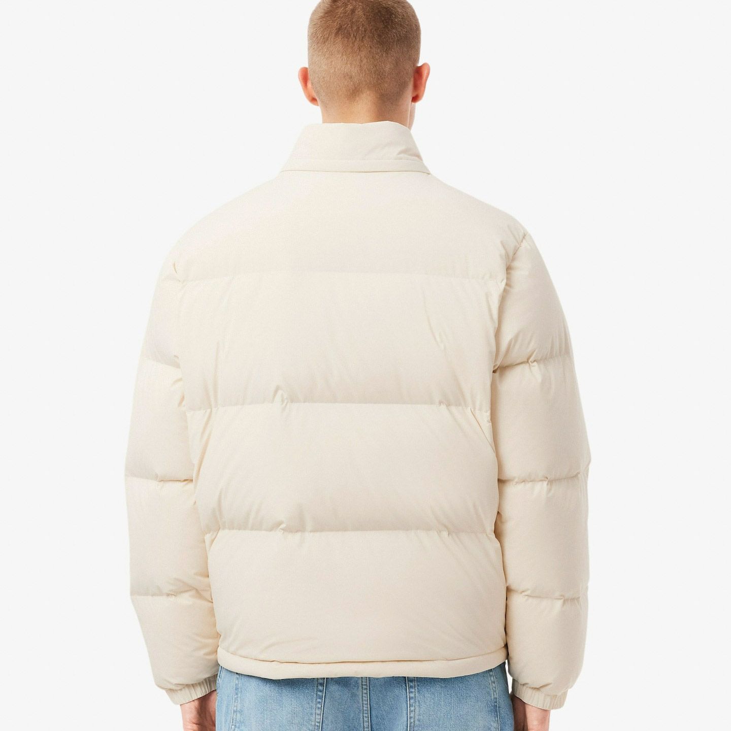Manteau d'hiver Lacoste Hommes