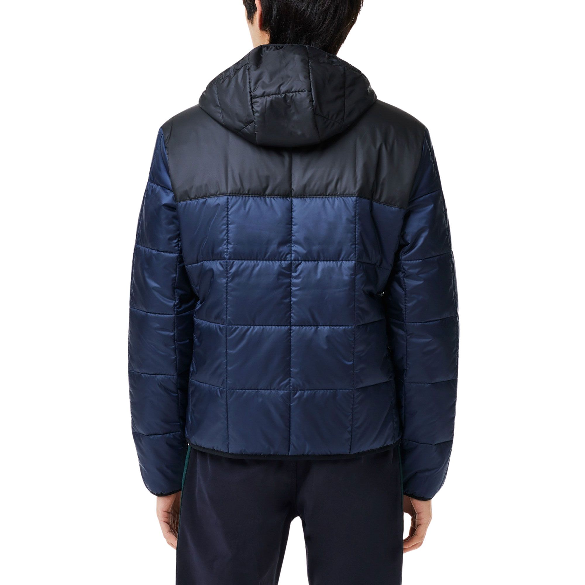 Veste Lacoste Padded Hooded Puffer Hommes