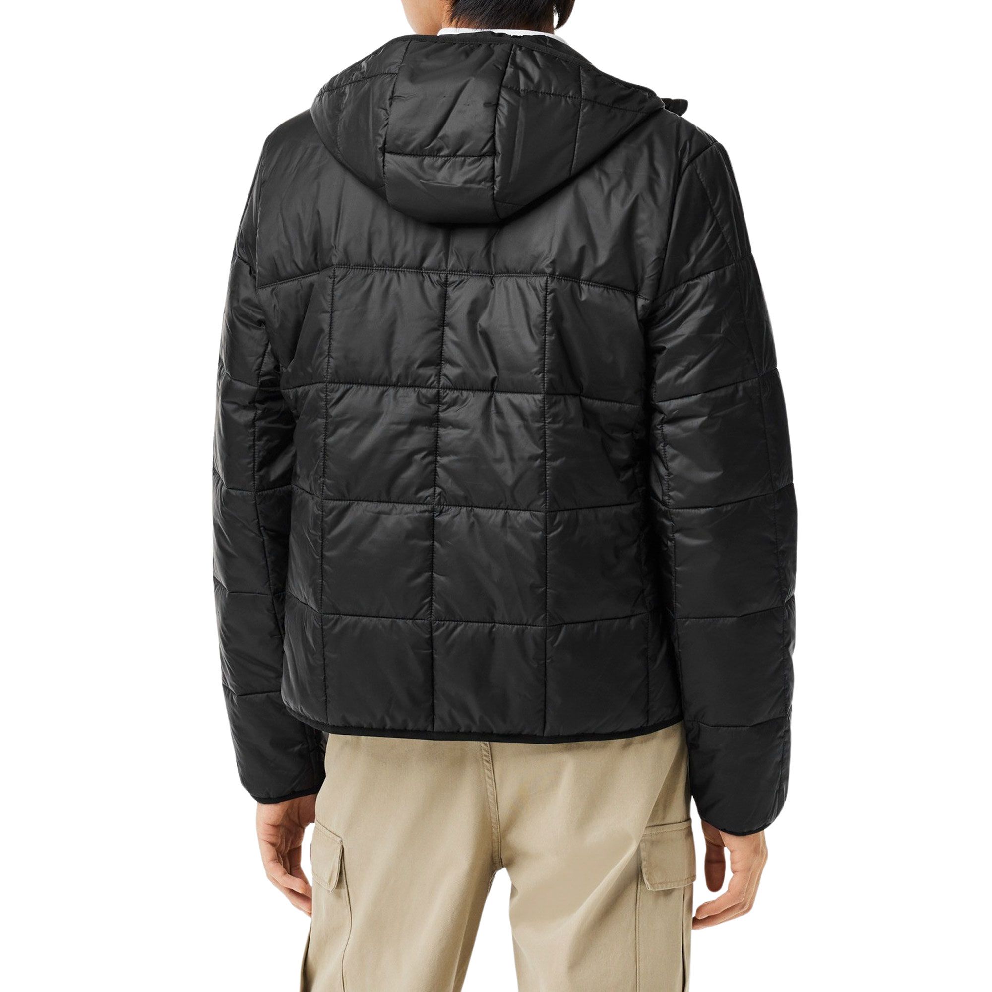 Veste Lacoste Padded Hooded Puffer Hommes