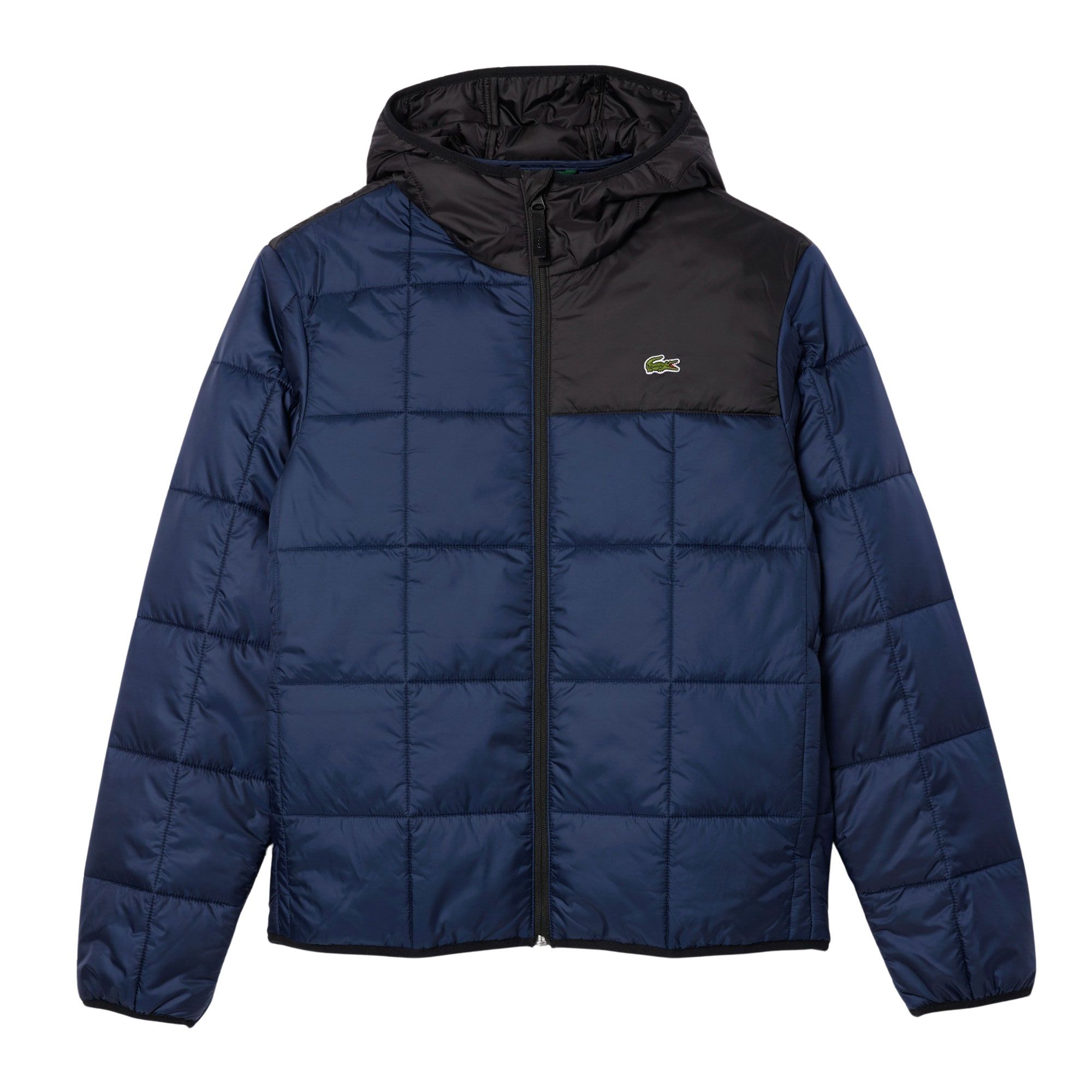 Veste Lacoste Padded Hooded Puffer Hommes