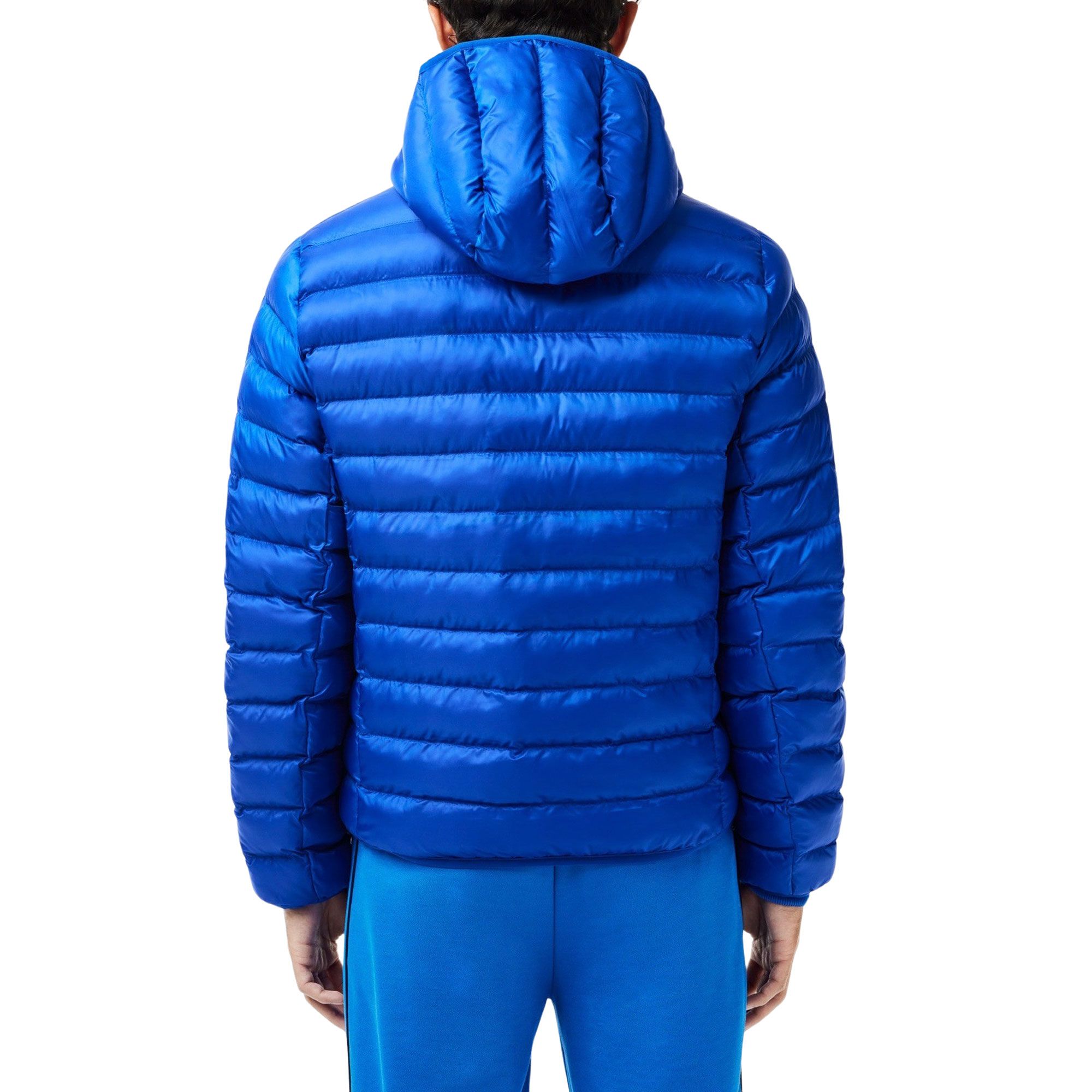 Lacoste Hooded Puffer Jas Heren