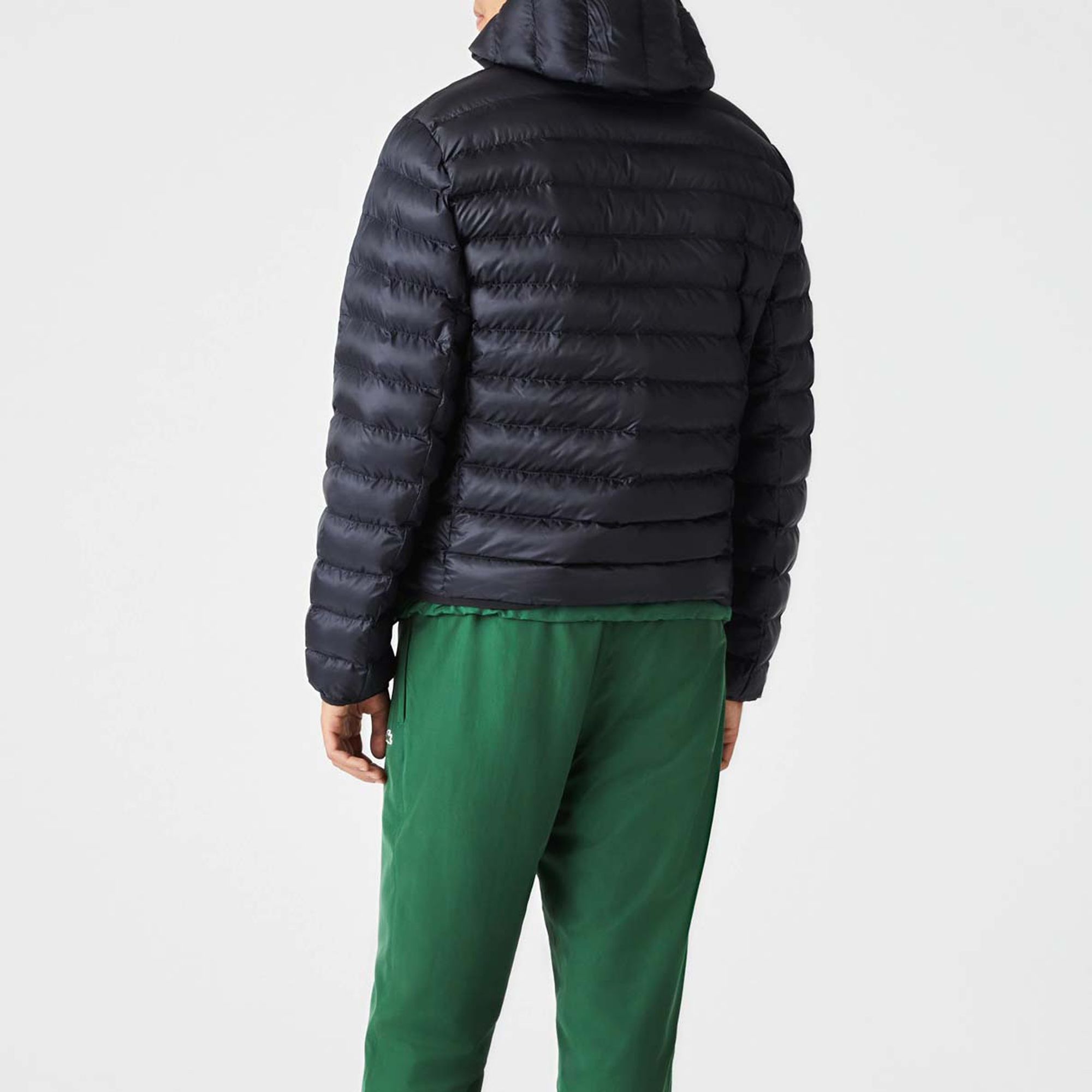 Lacoste Jas Heren