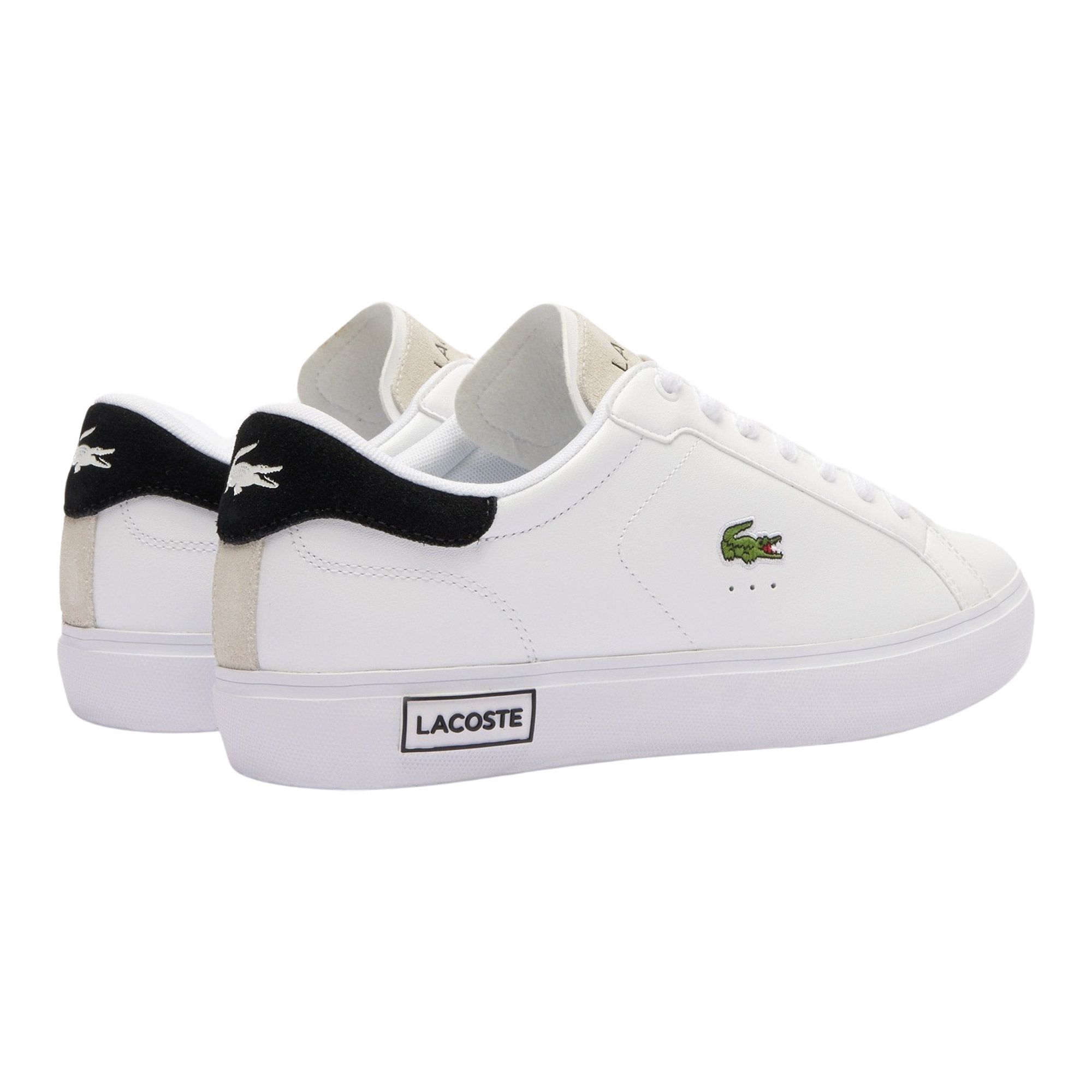 Baskets Lacoste Powercourt Hommes