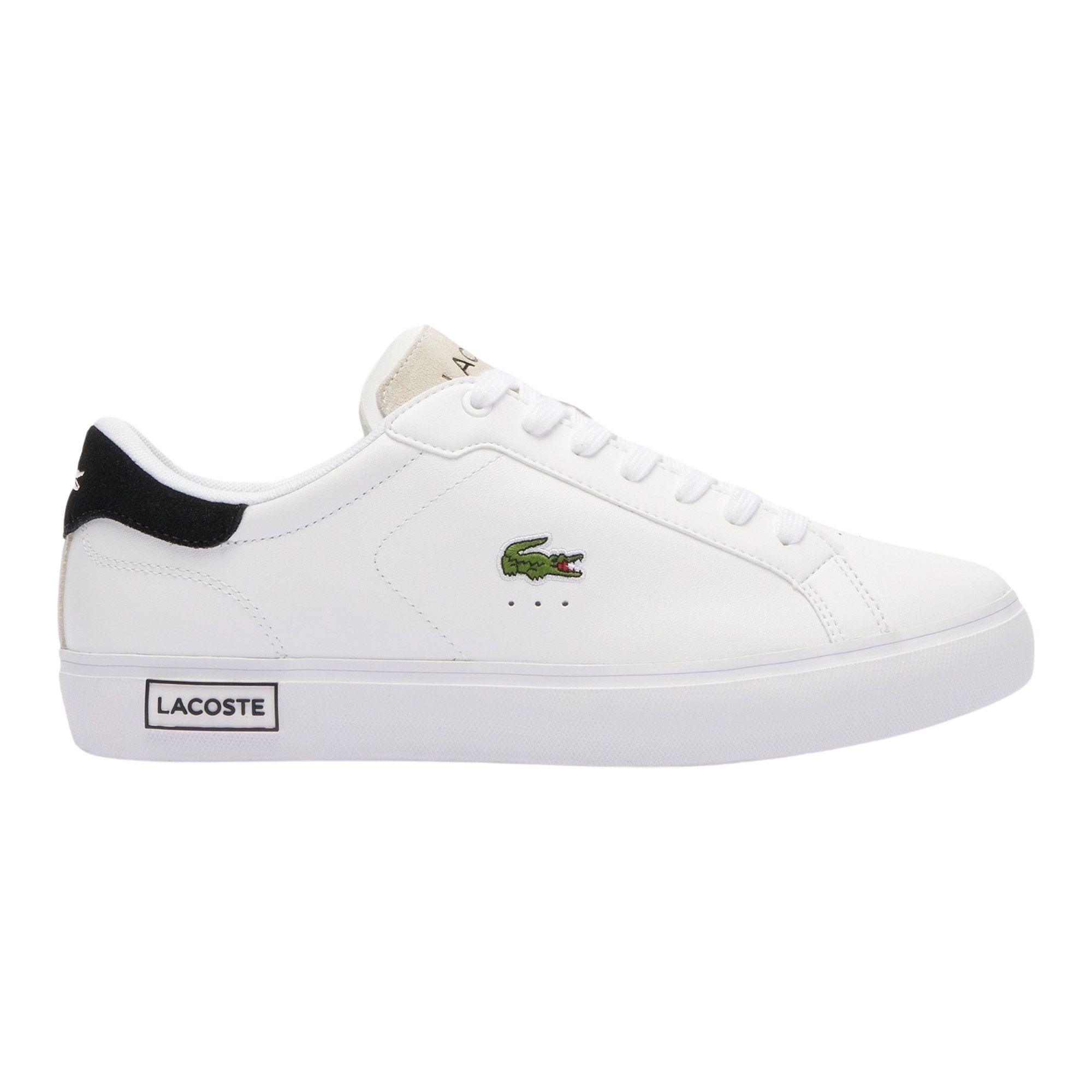 Baskets Lacoste Powercourt Hommes
